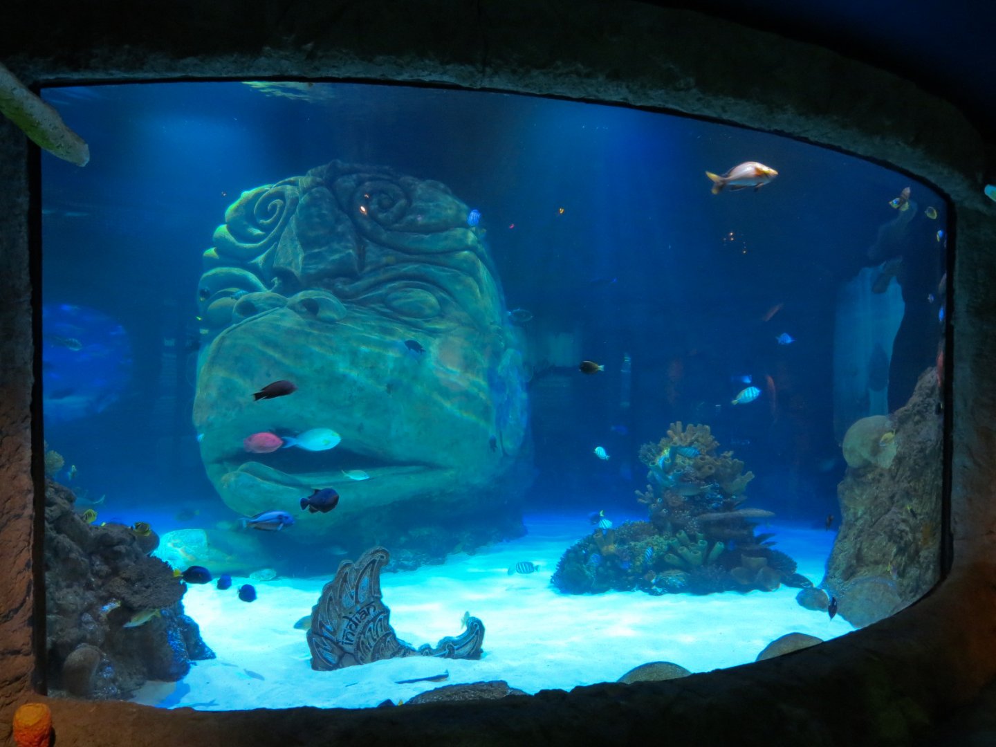 Indian Ocean Exhibit