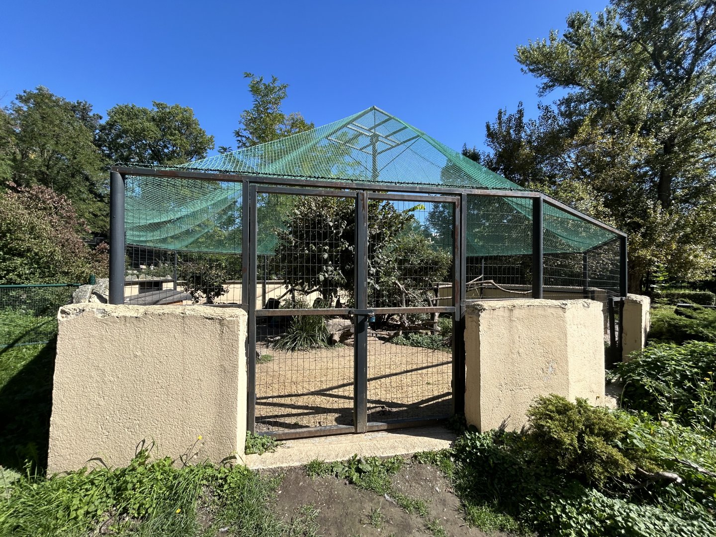 Indian Peafowl Aviary