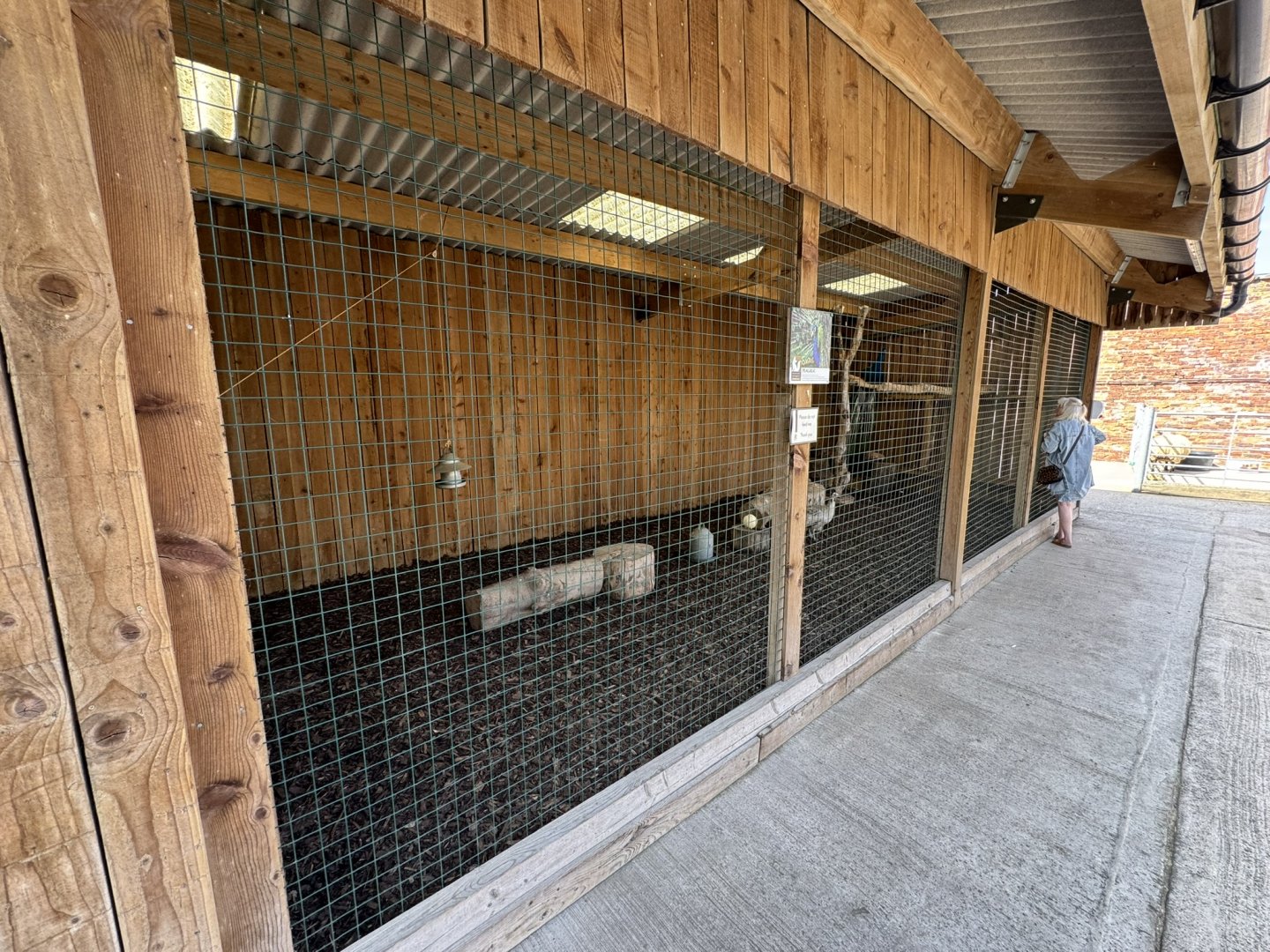Indian Peafowl Enclosure at Wentworth Garden Centre (May 2025)