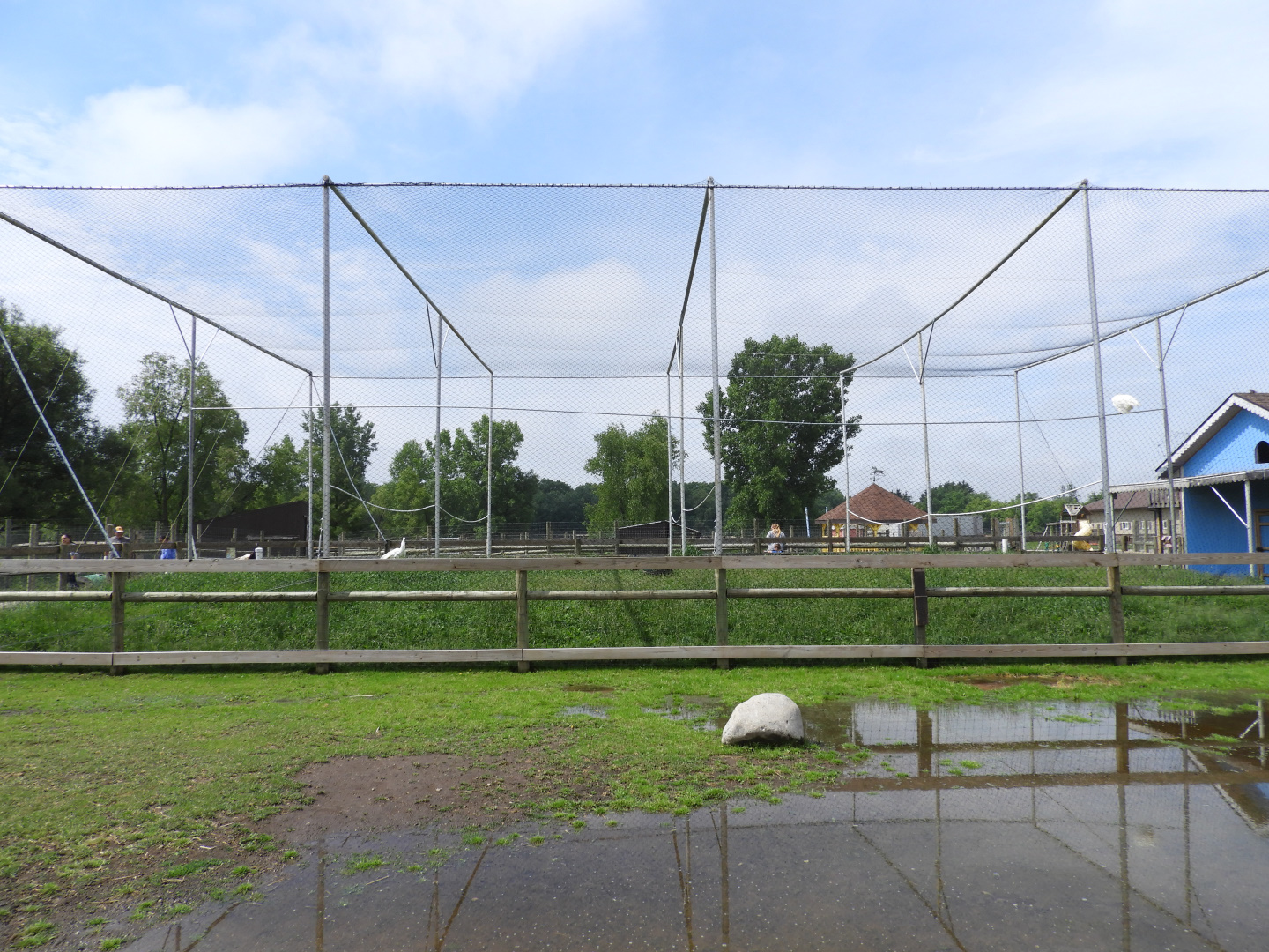 Indian Peafowl exhibit - Baby Barn - Animal Gardens Petting Zoo