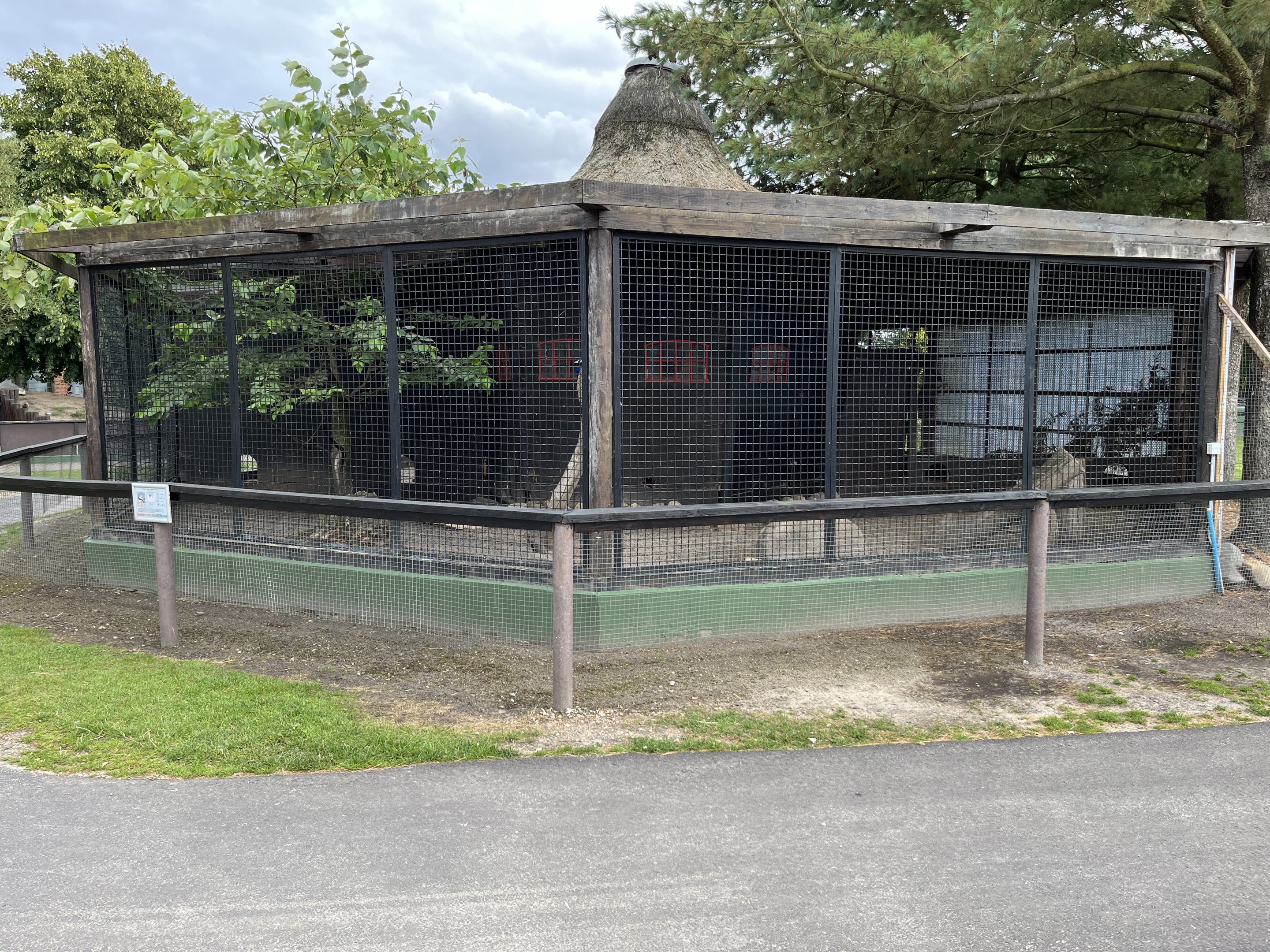 Indian Peafowl Exhibit