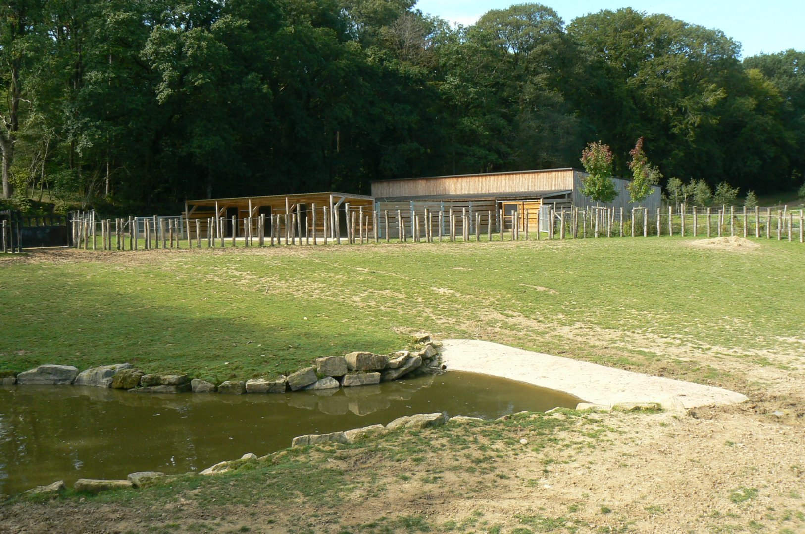 Indian plain - 1 hectare male indian rhino's enclosure and hoofstocks' house behind