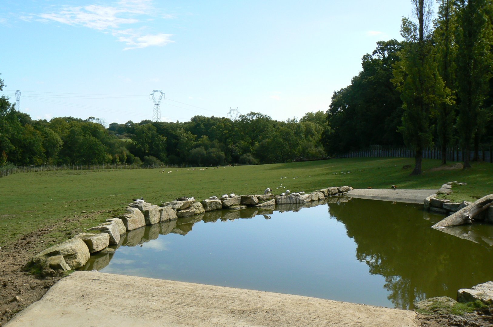 Indian plain - 3 hectares female indian rhinos enclosure