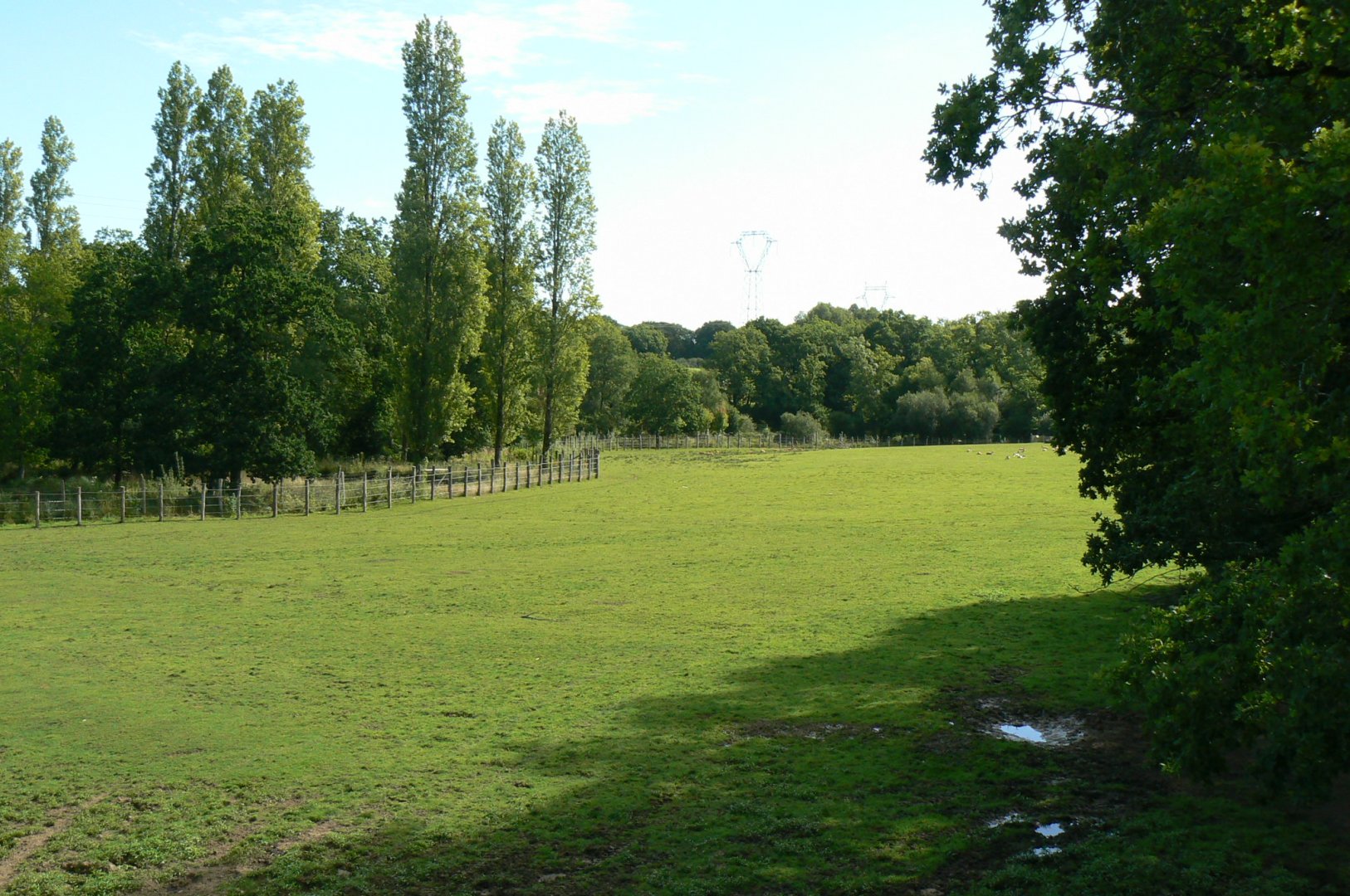 Indian plain - 3 hectares female indian rhinos enclosure