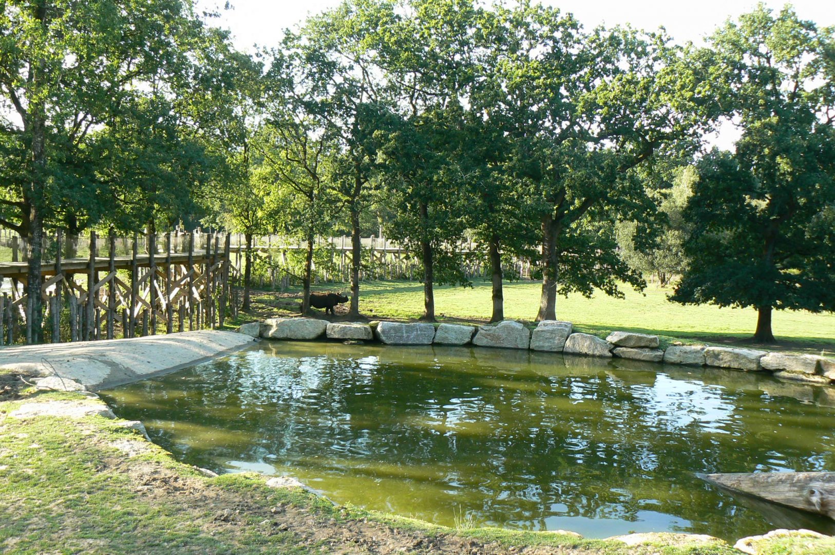 Indian plain - 3 hectares female indian rhinos enclosure