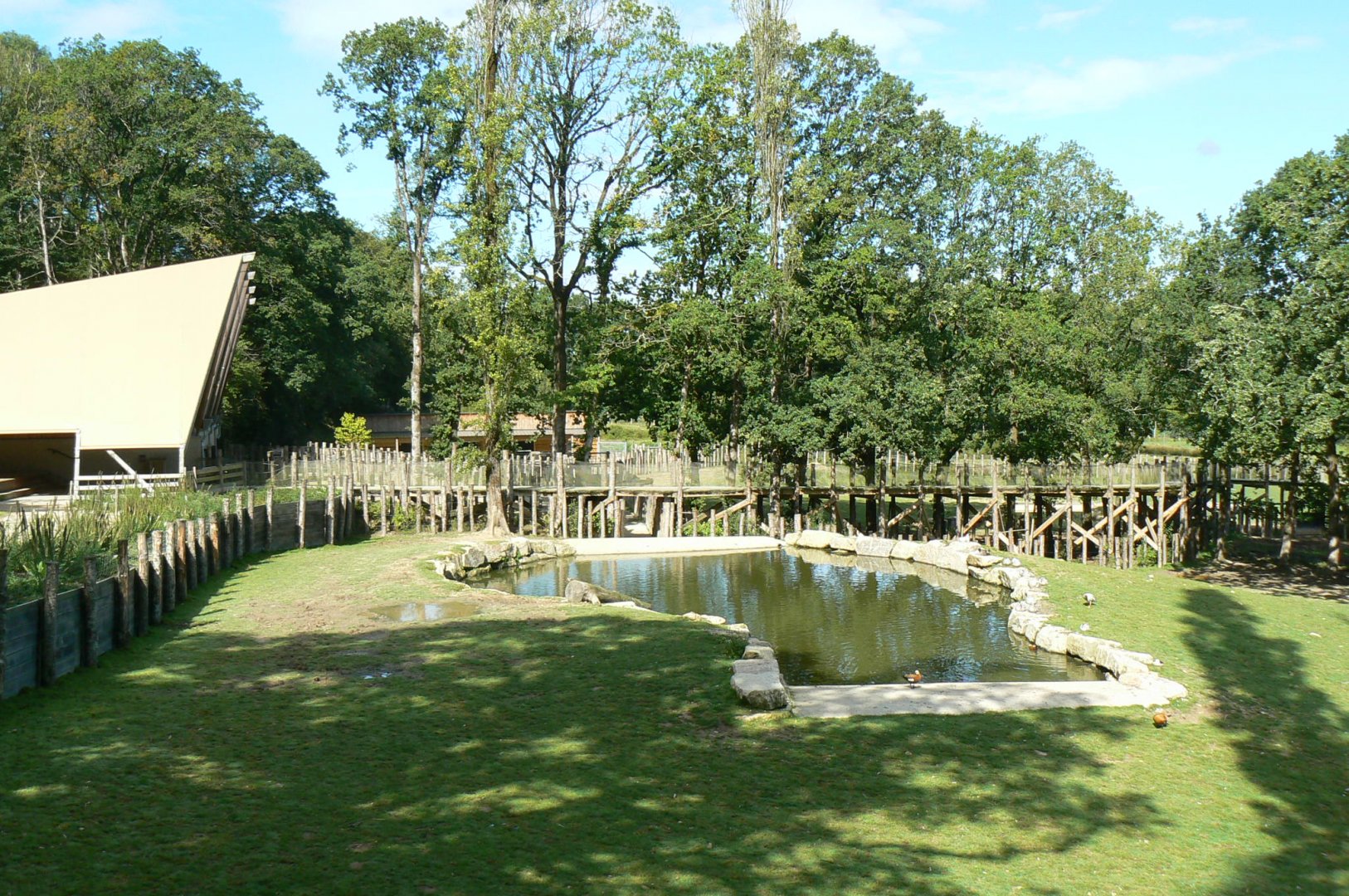 Indian plain - Female indian rhinos pond and house behind