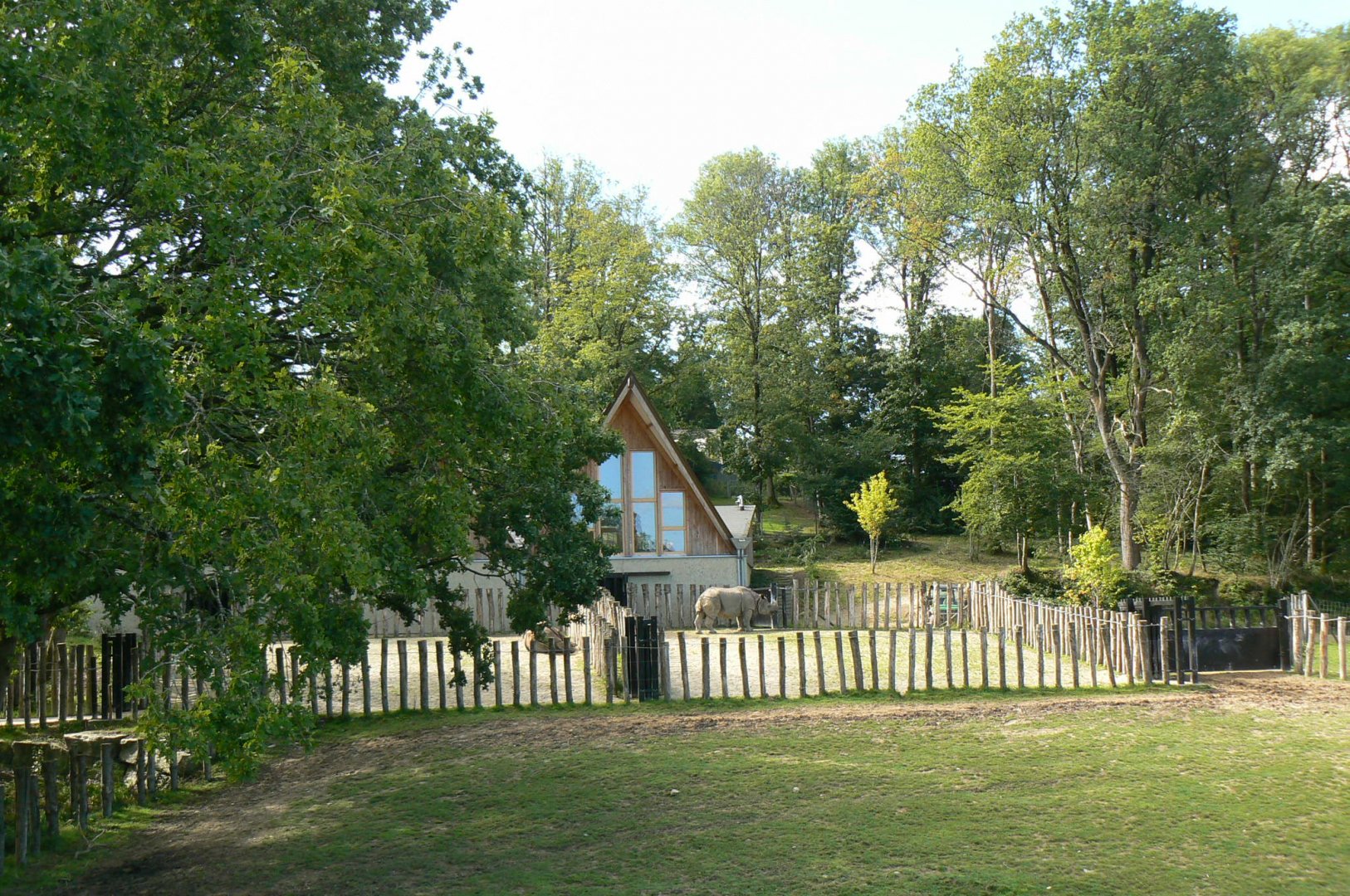 Indian plain - indian rhinos' paddocks and house