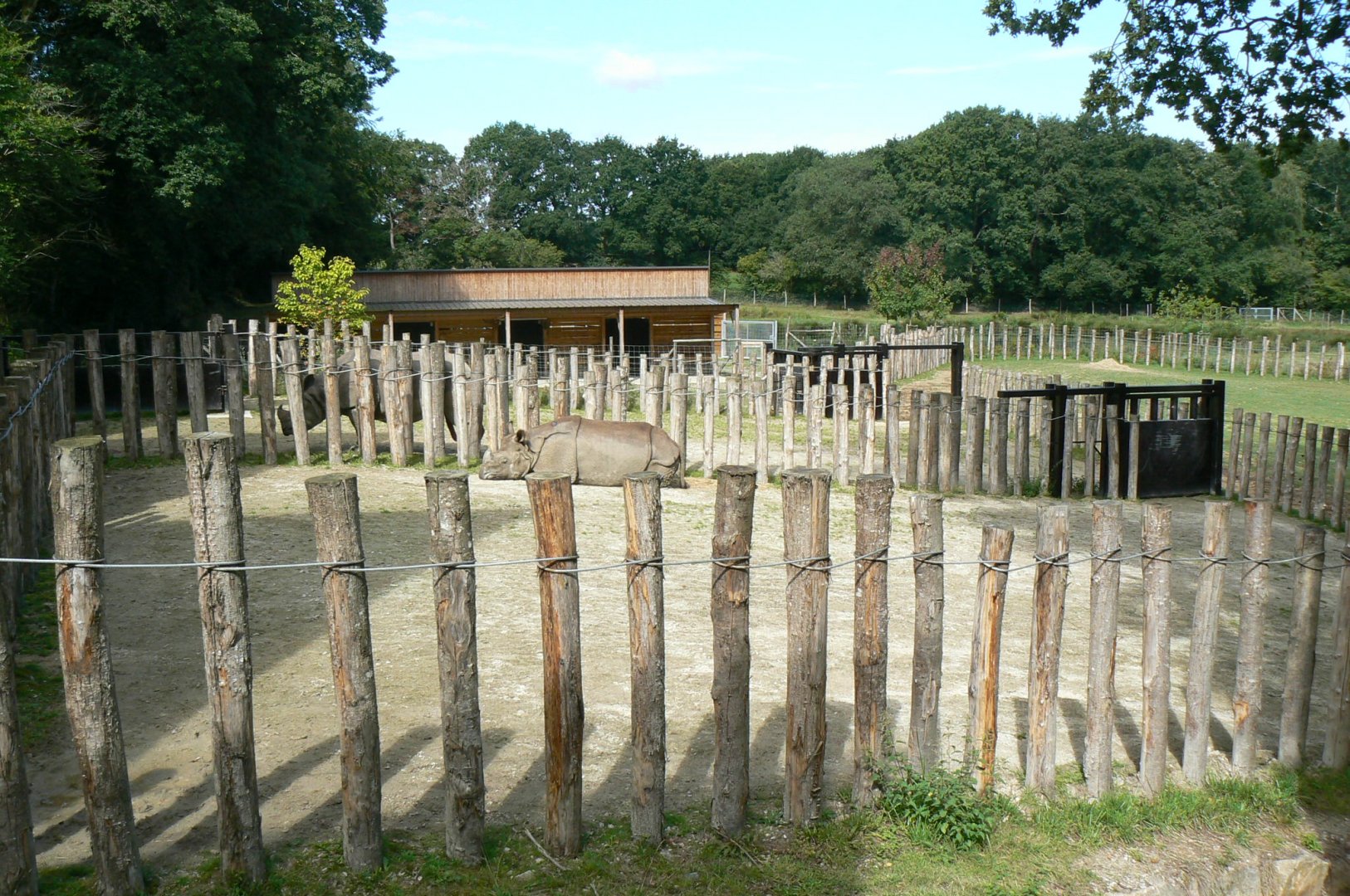 Indian plain - indian rhinos' paddocks