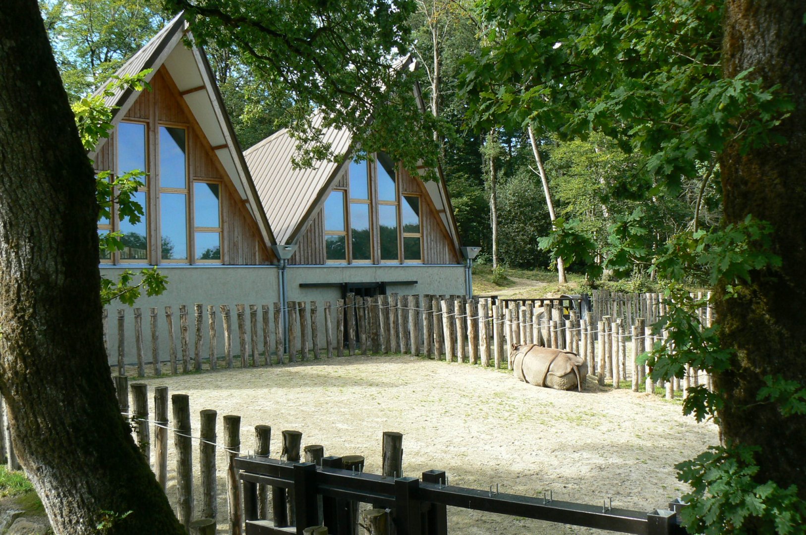 Indian plain - indian rhinos' paddocks
