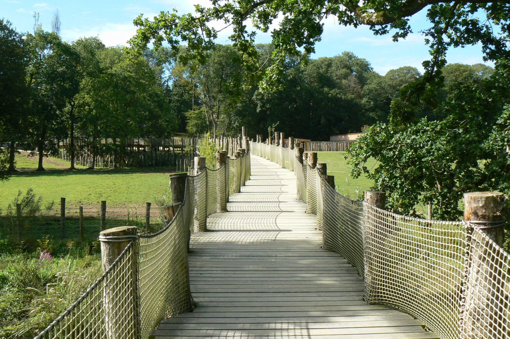 Indian plain - passage between the two indian rhinos' enclosure
