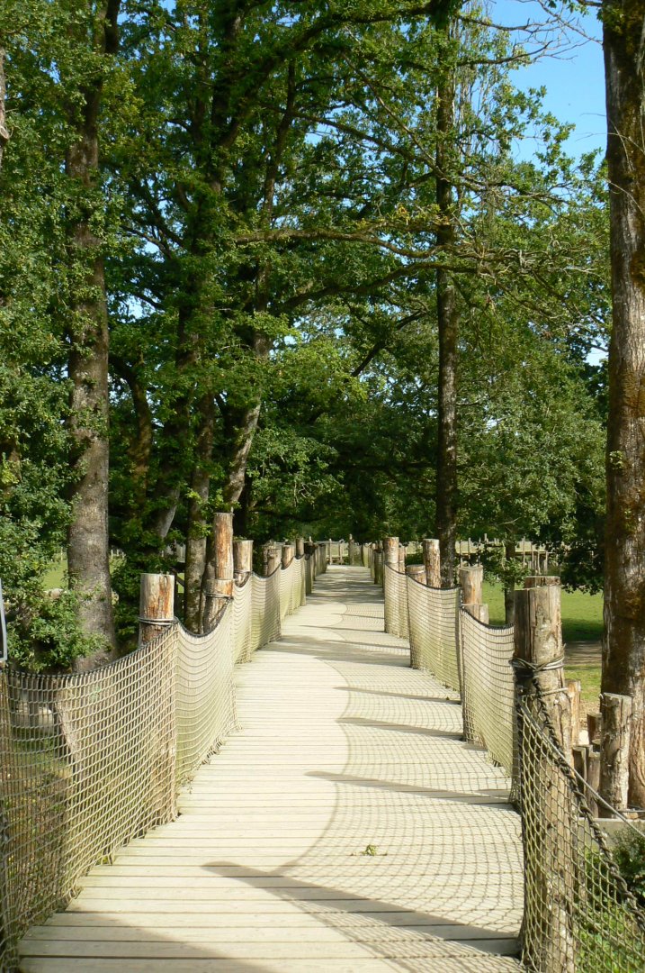 Indian plain - passage between the two rhino enclosures