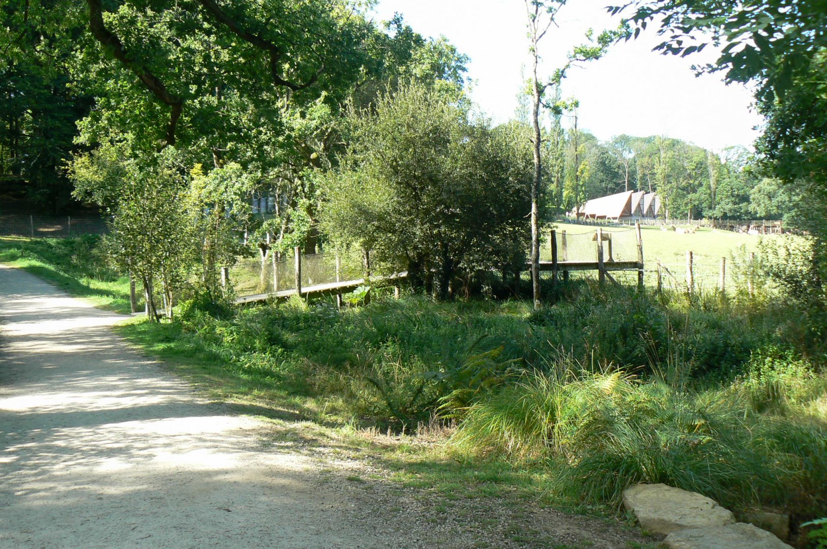 Indian plain - viewing platform onto the female indian rhinos' enclosure