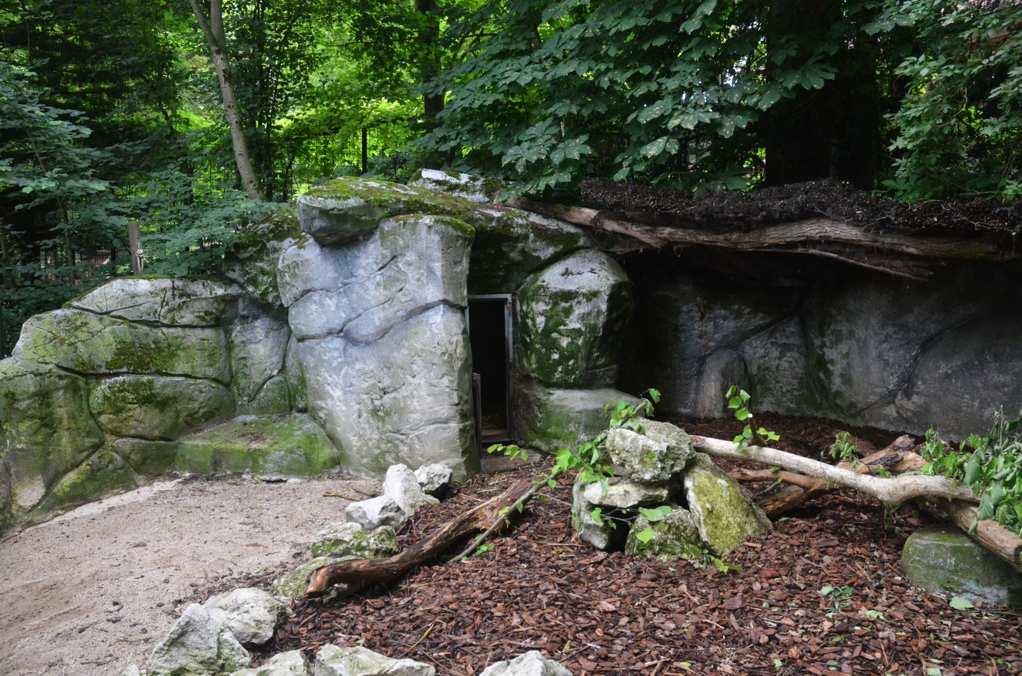 Indian Porcupine Enclosure at Beauval, 12/06/18