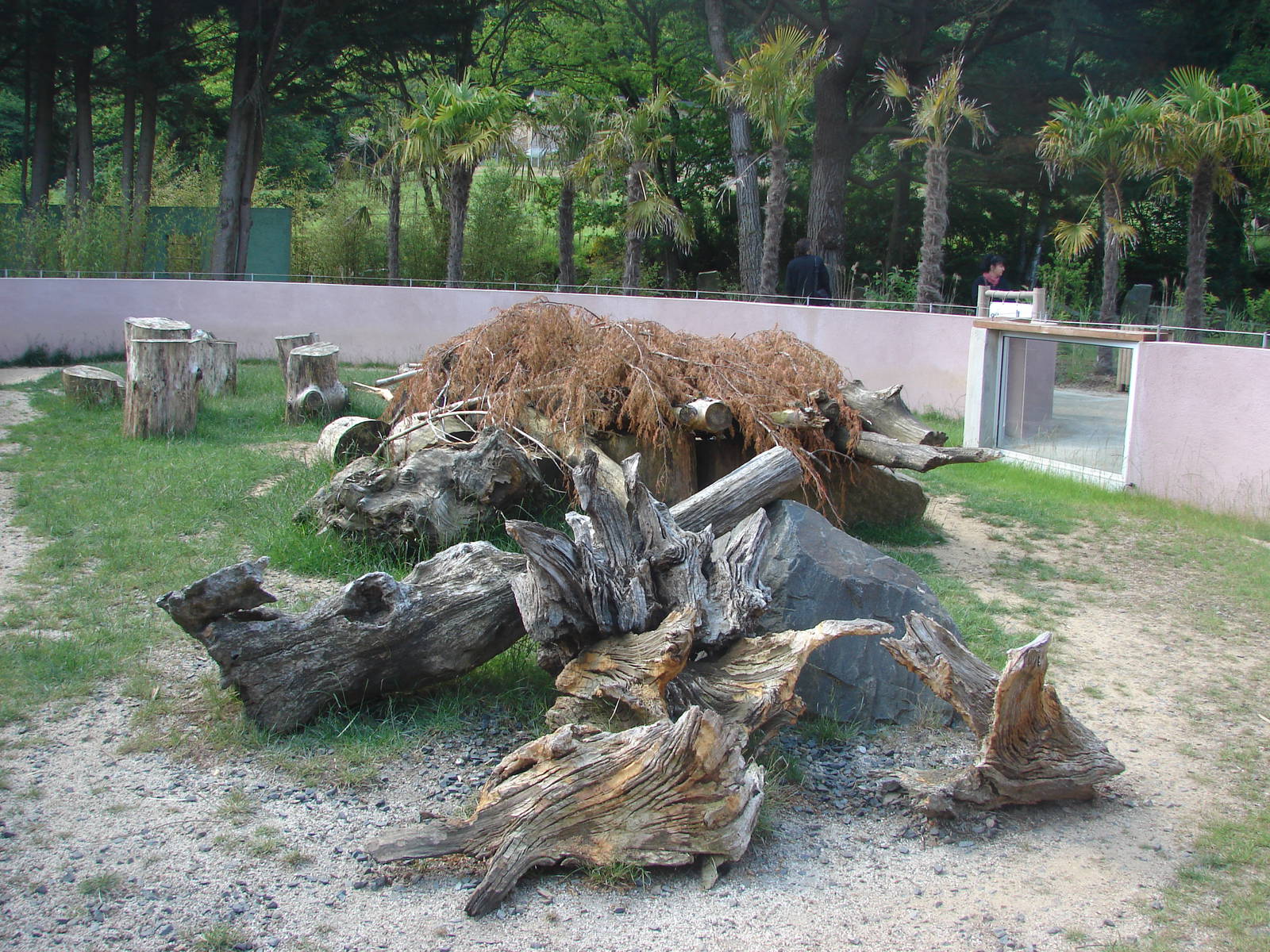 Indian porcupine exhibit