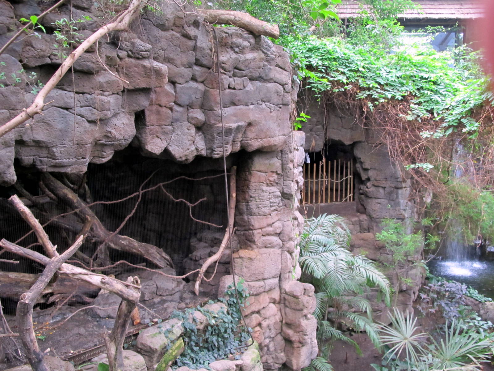Indian Porcupine Exhibit