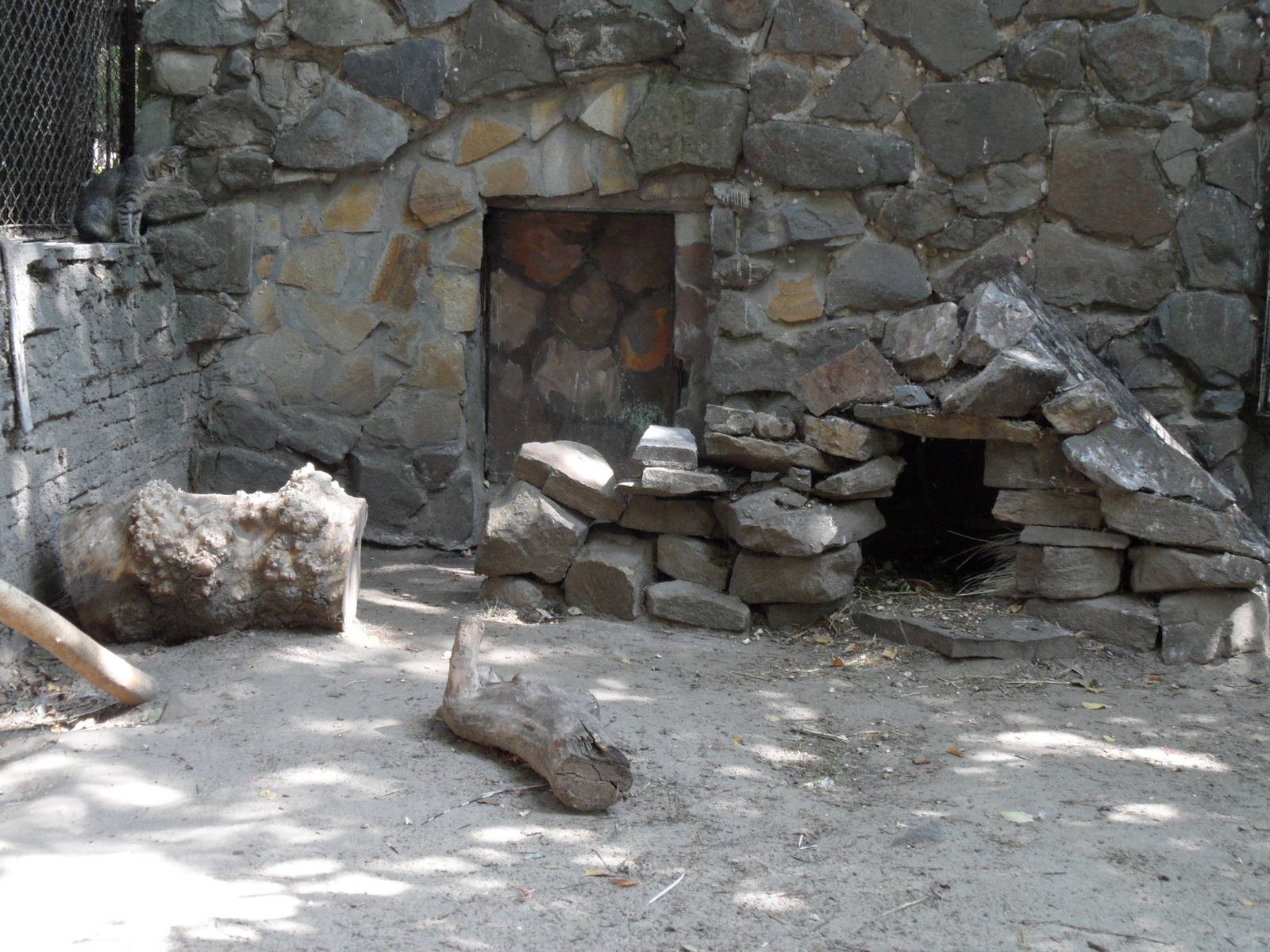 Indian porcupine exhibit