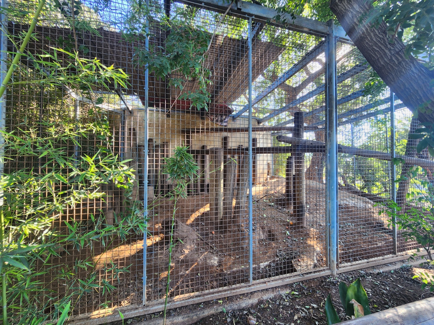 Indian Porcupine Exhibit