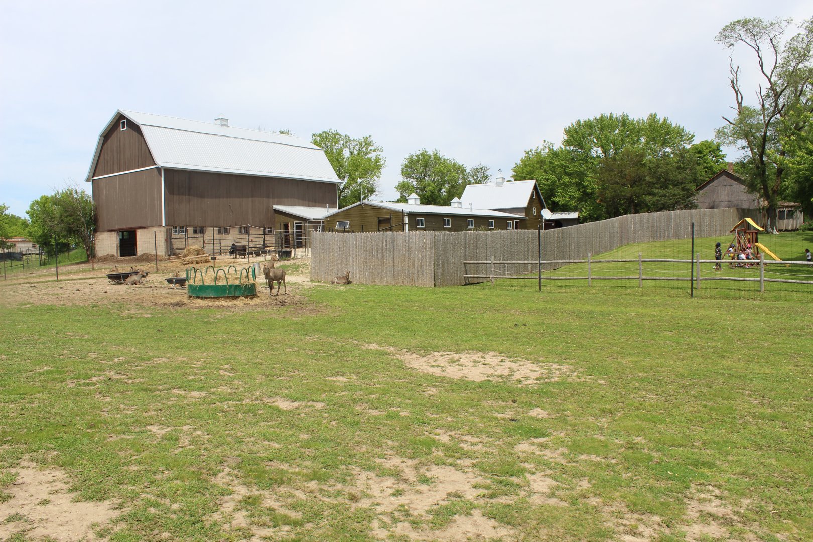 Indian Reserve (Domestic Yak, Nilgai, Blackbuck)