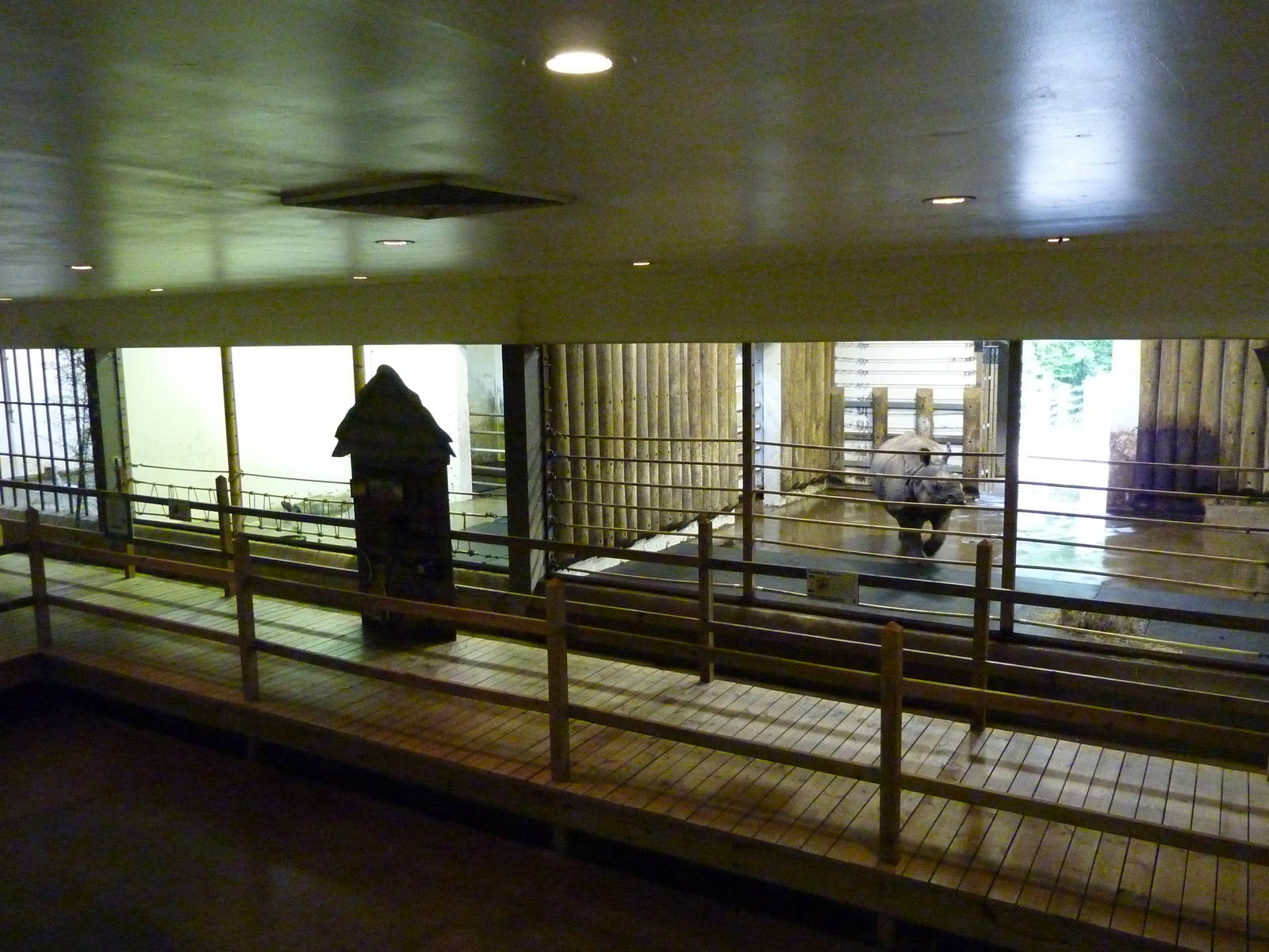 Indian Rhino/Aldabra Tortoise/Nile Hippo Barn