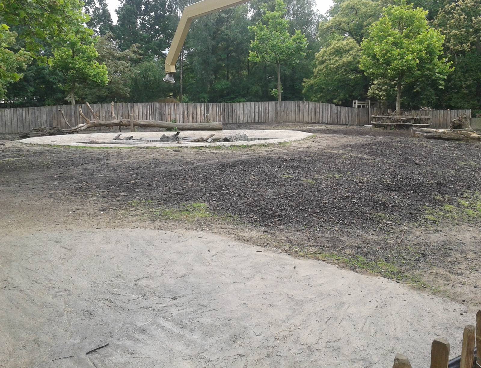 Indian rhino and muntjac enclosure