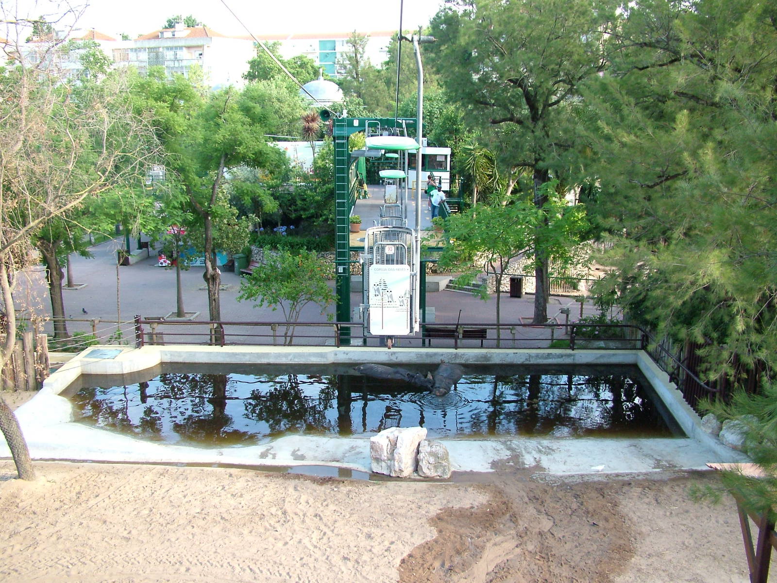 Indian Rhino Bathing Pool at Lisbon Zoo, 24/05/11