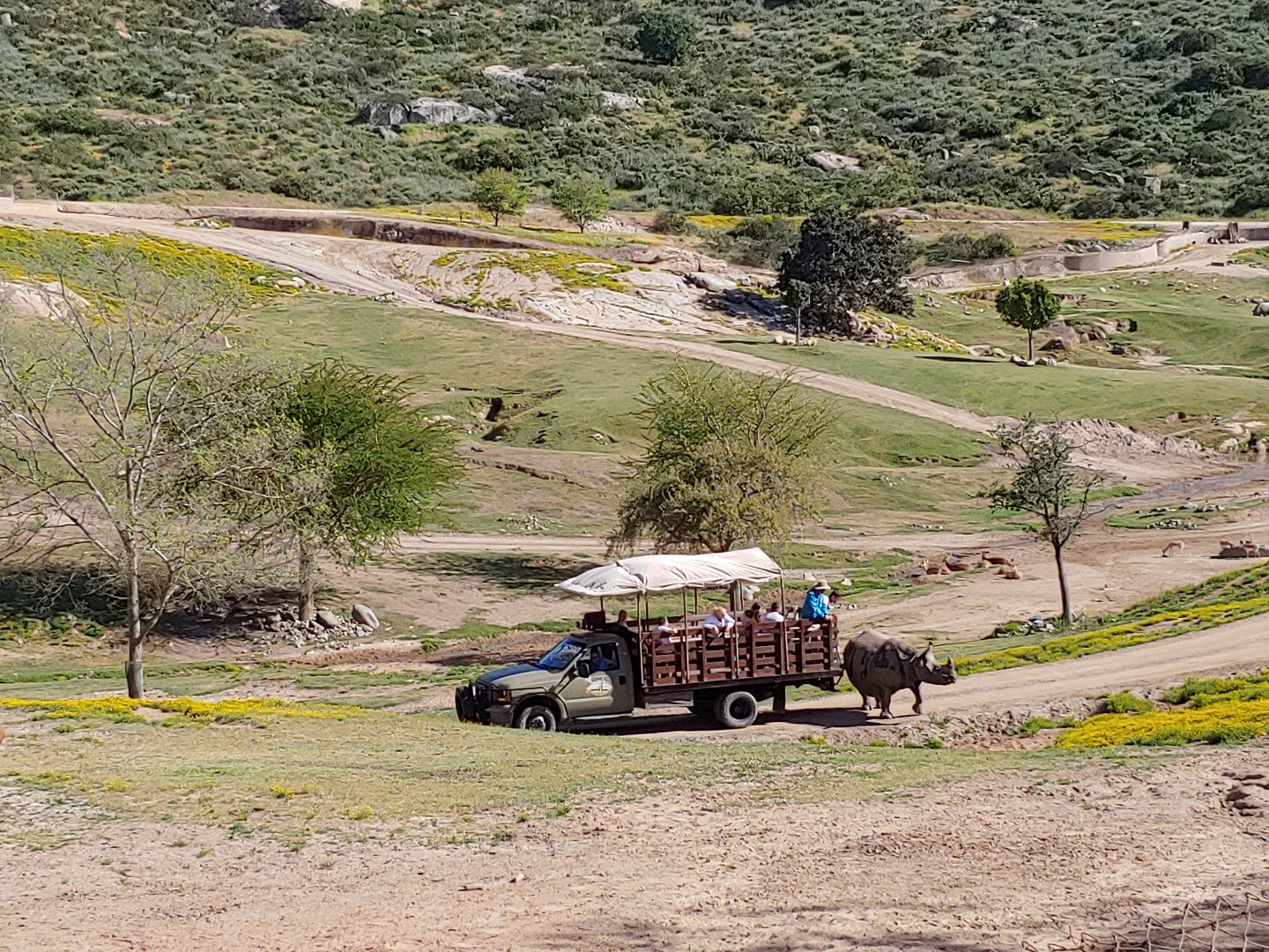 Indian Rhino & Caravan Safari Truck