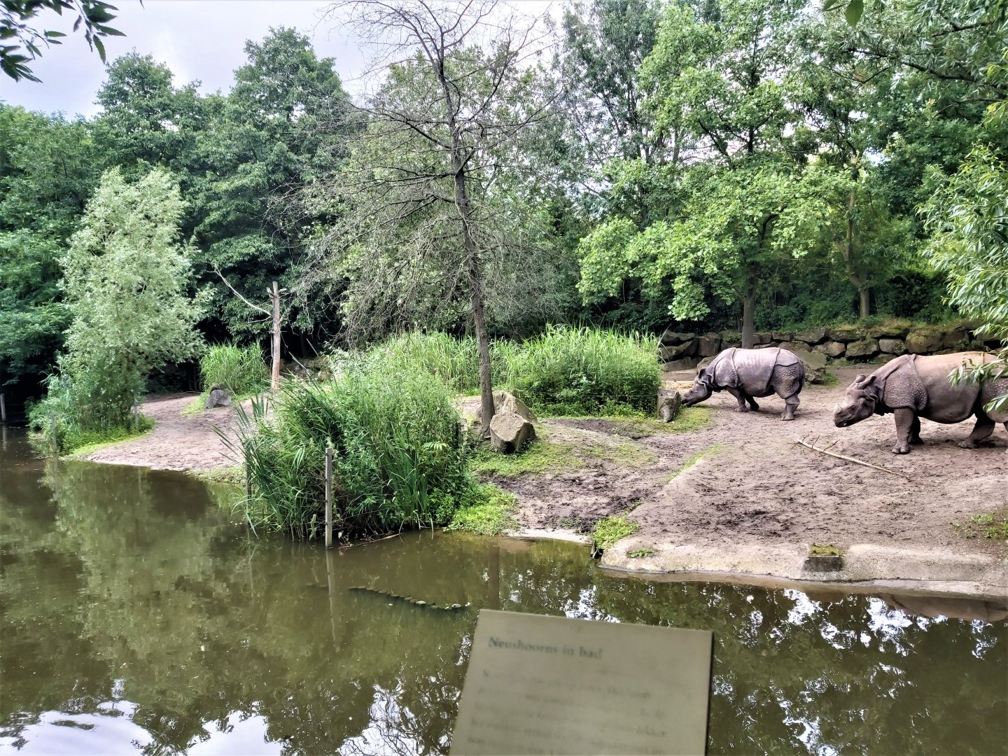 Indian rhino(ceros) enclosure