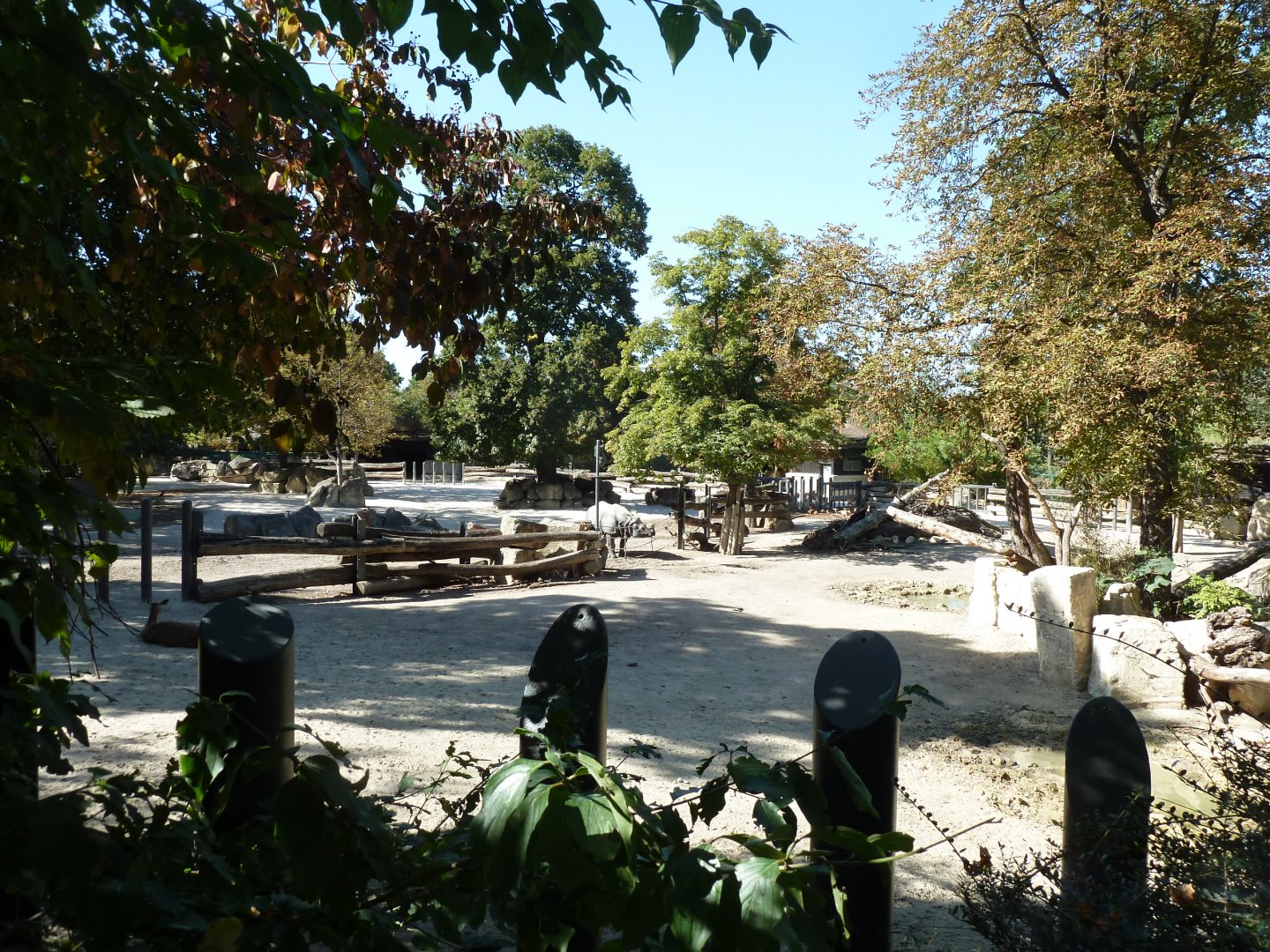 Indian rhino connected enclosures