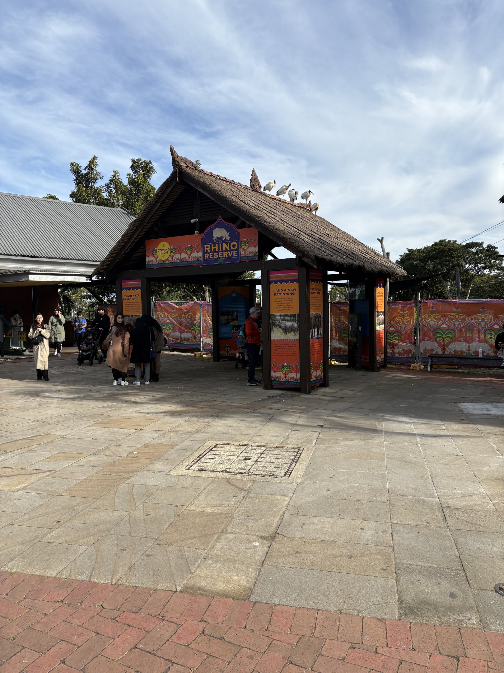 Indian Rhino development - July 2025