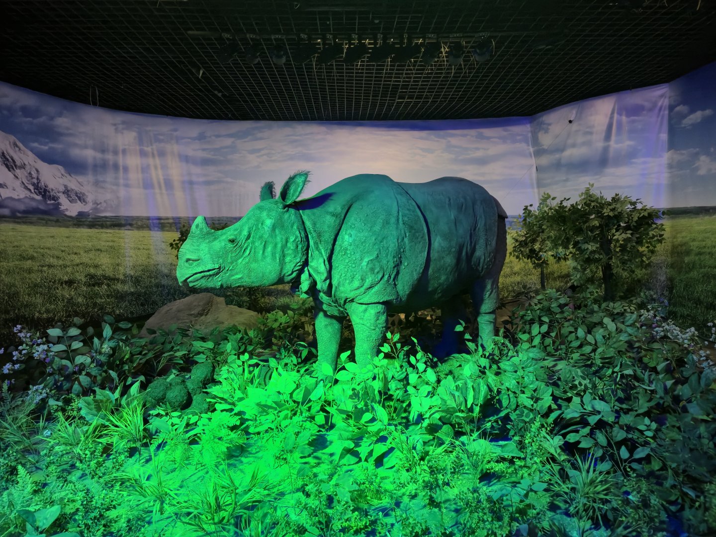 Indian Rhino, Educational building