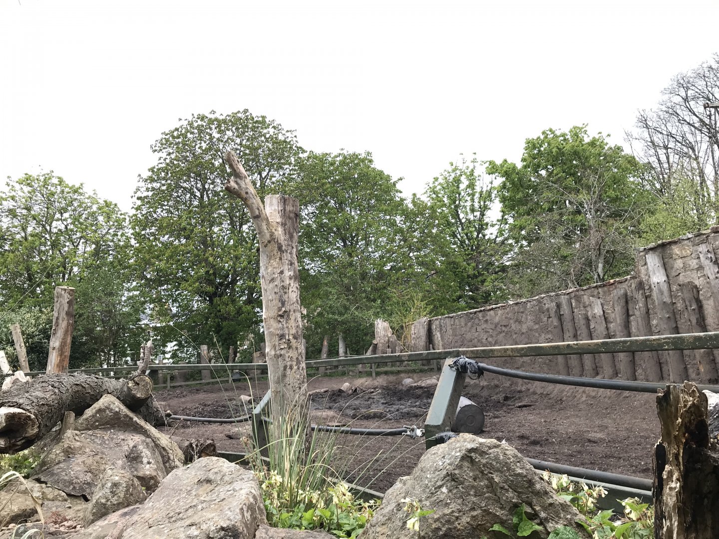 Indian rhino enclosure (2)