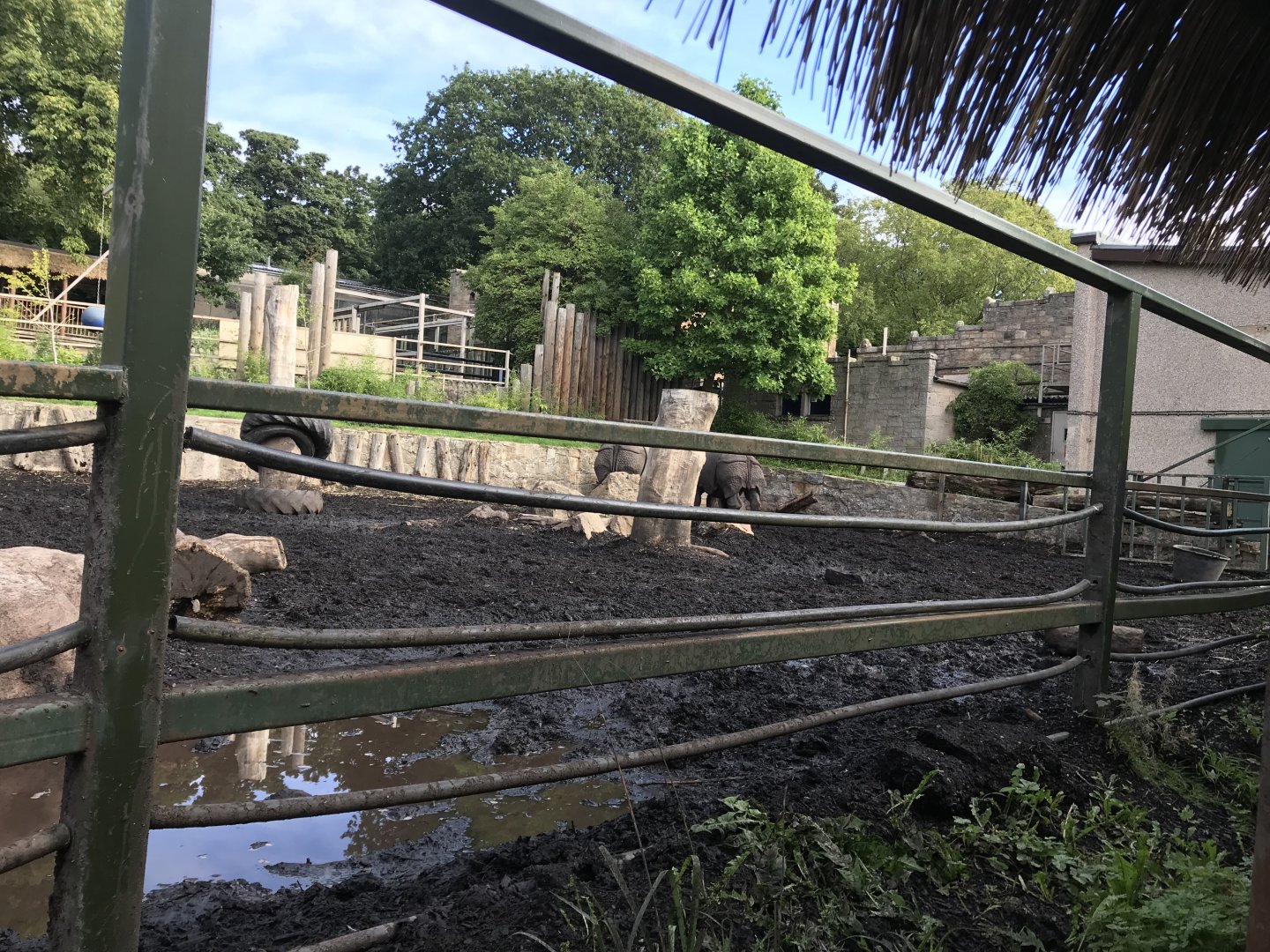 Indian rhino enclosure (2)