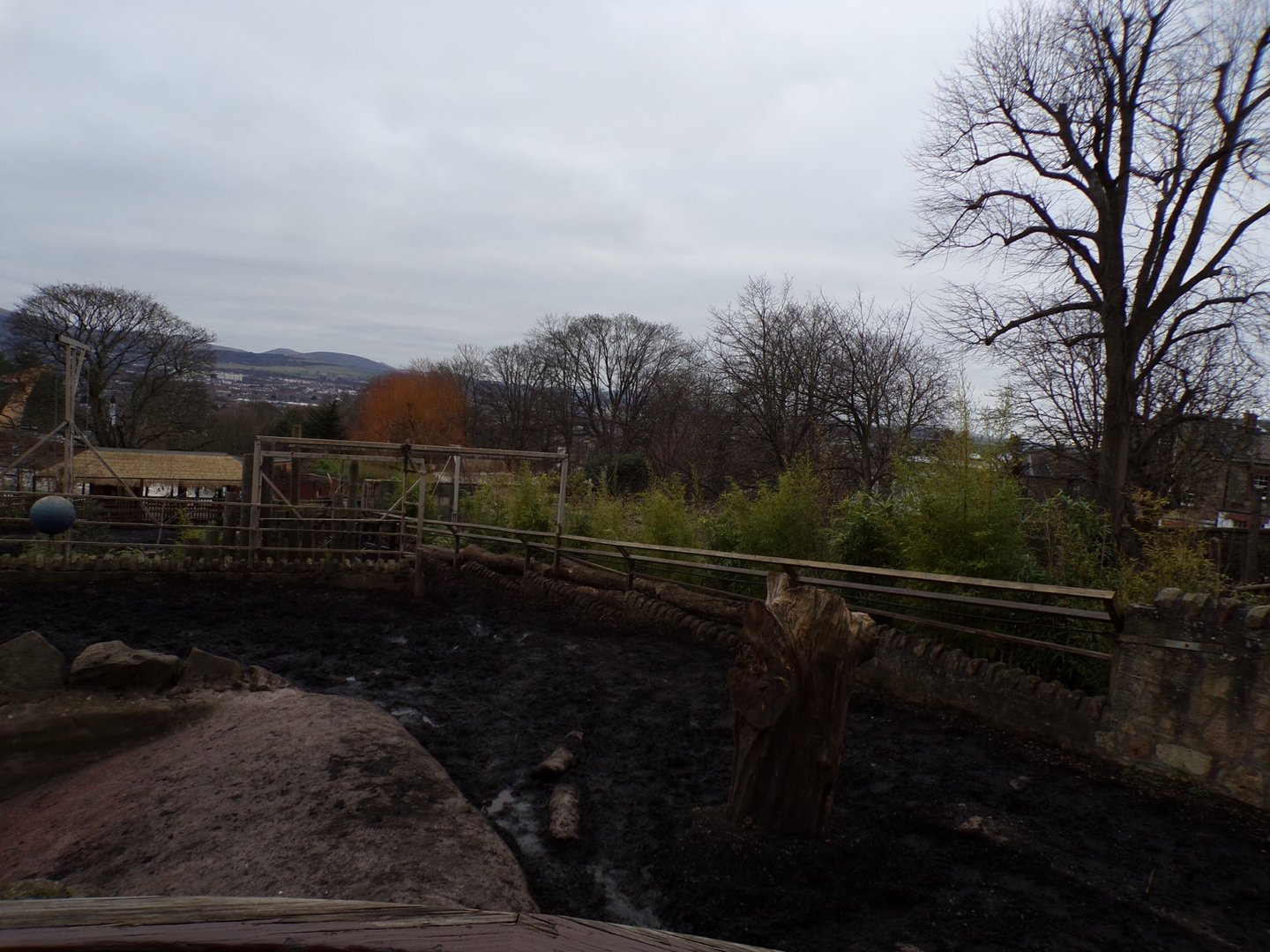 Indian rhino enclosure 26.2.23