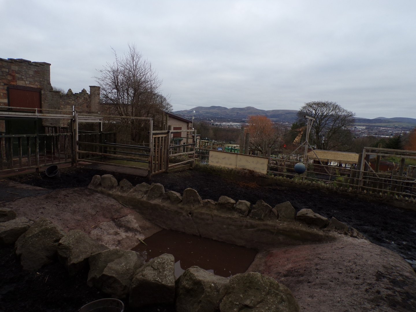 Indian rhino enclosure 26.2.23