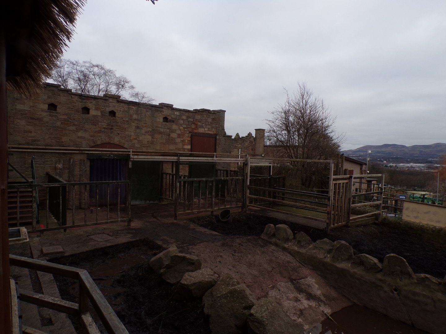 Indian rhino enclosure 26.2.23