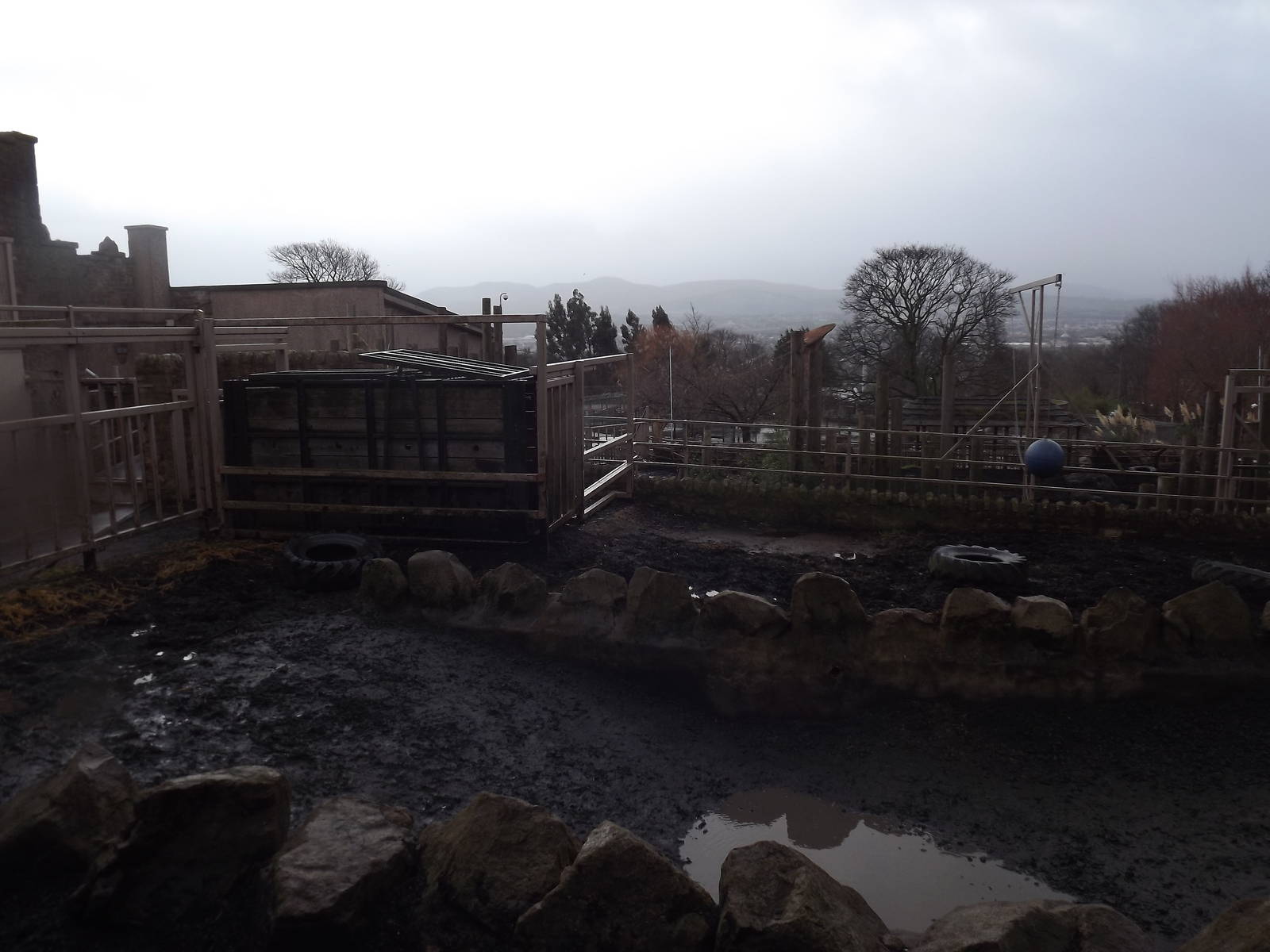 Indian rhino enclosure at Edinburgh Zoo 28/12/11