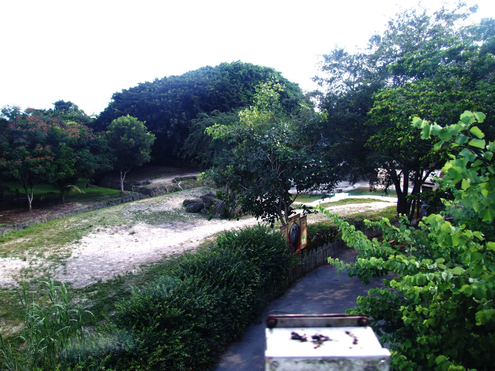 Indian Rhino Enclosure at Miami, 12/10/13