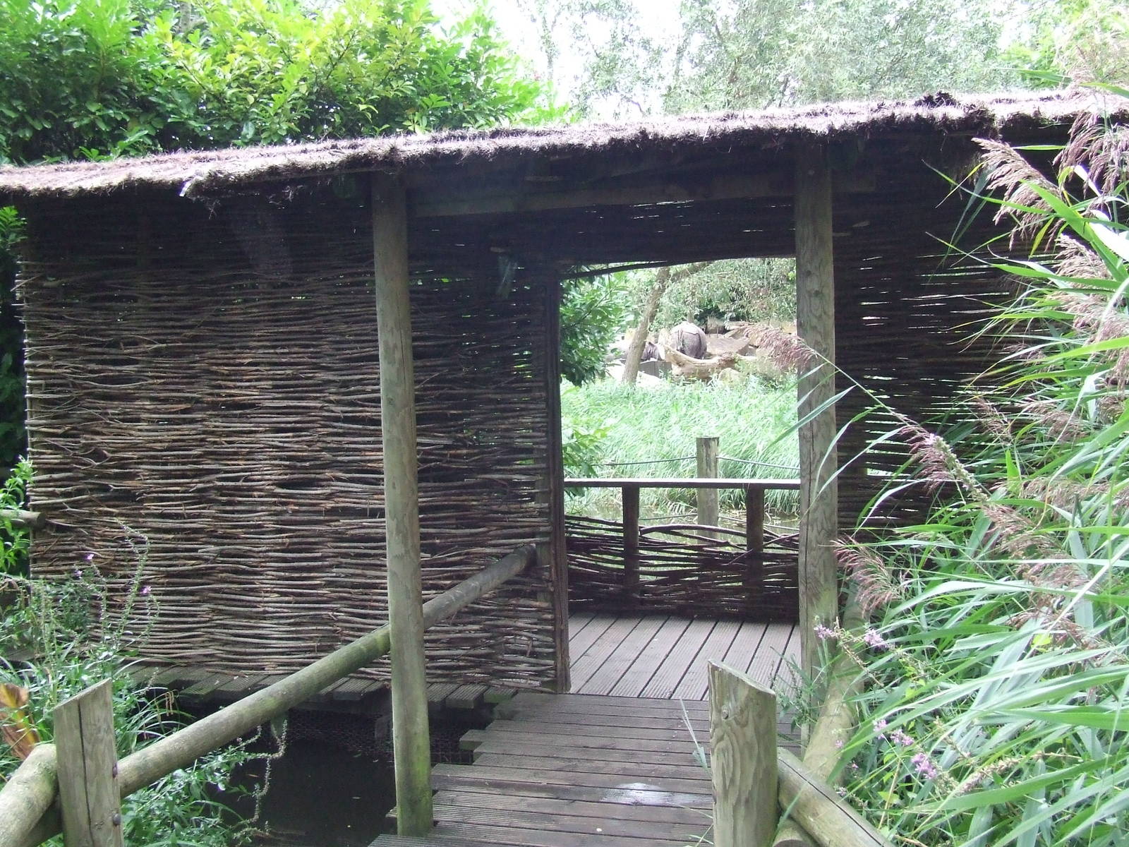 Indian Rhino enclosure, Viewing Hut