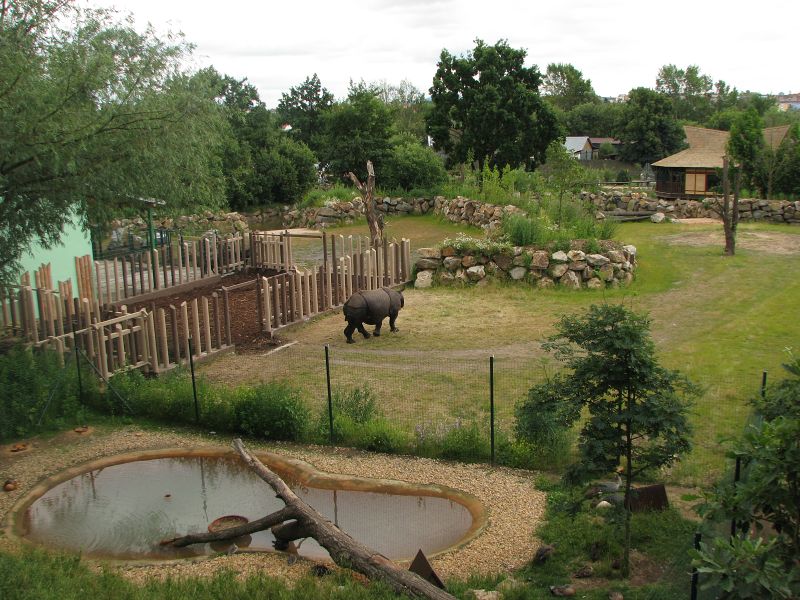 Indian rhino enclosure
