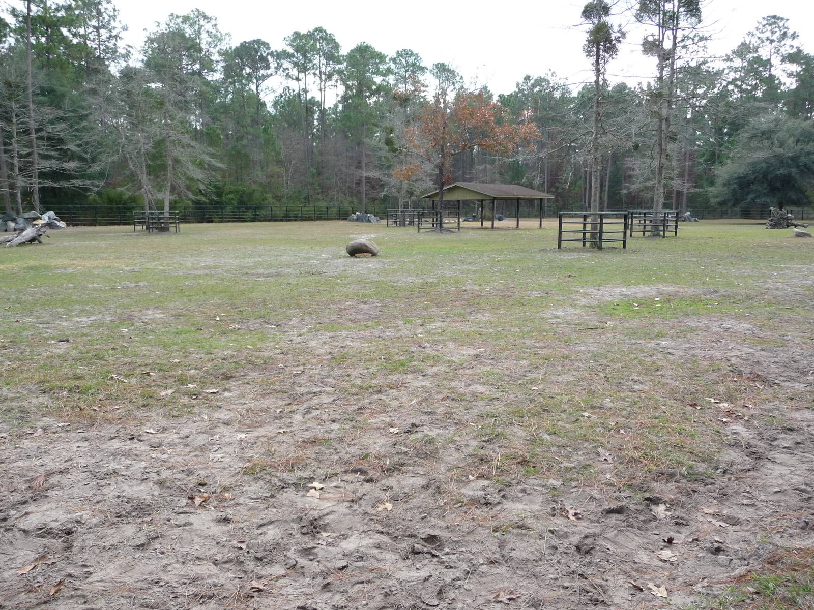 Indian Rhino Enclosure