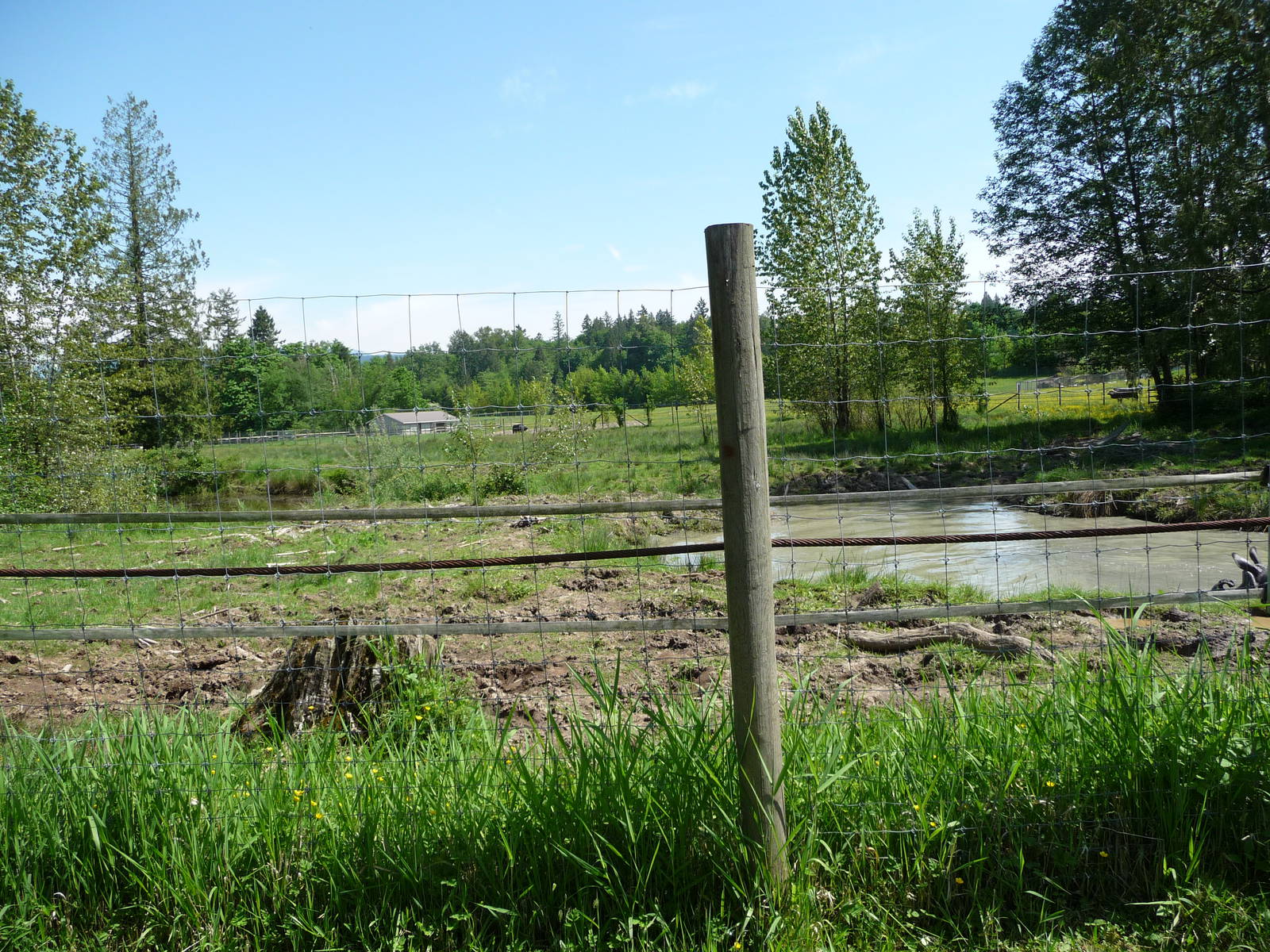 Indian Rhino Enclosure