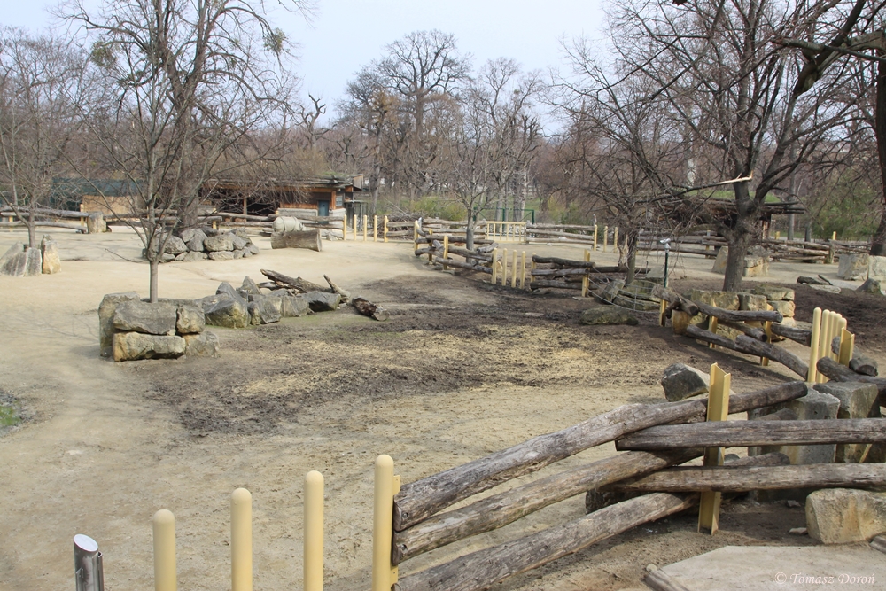 Indian Rhino enclosure
