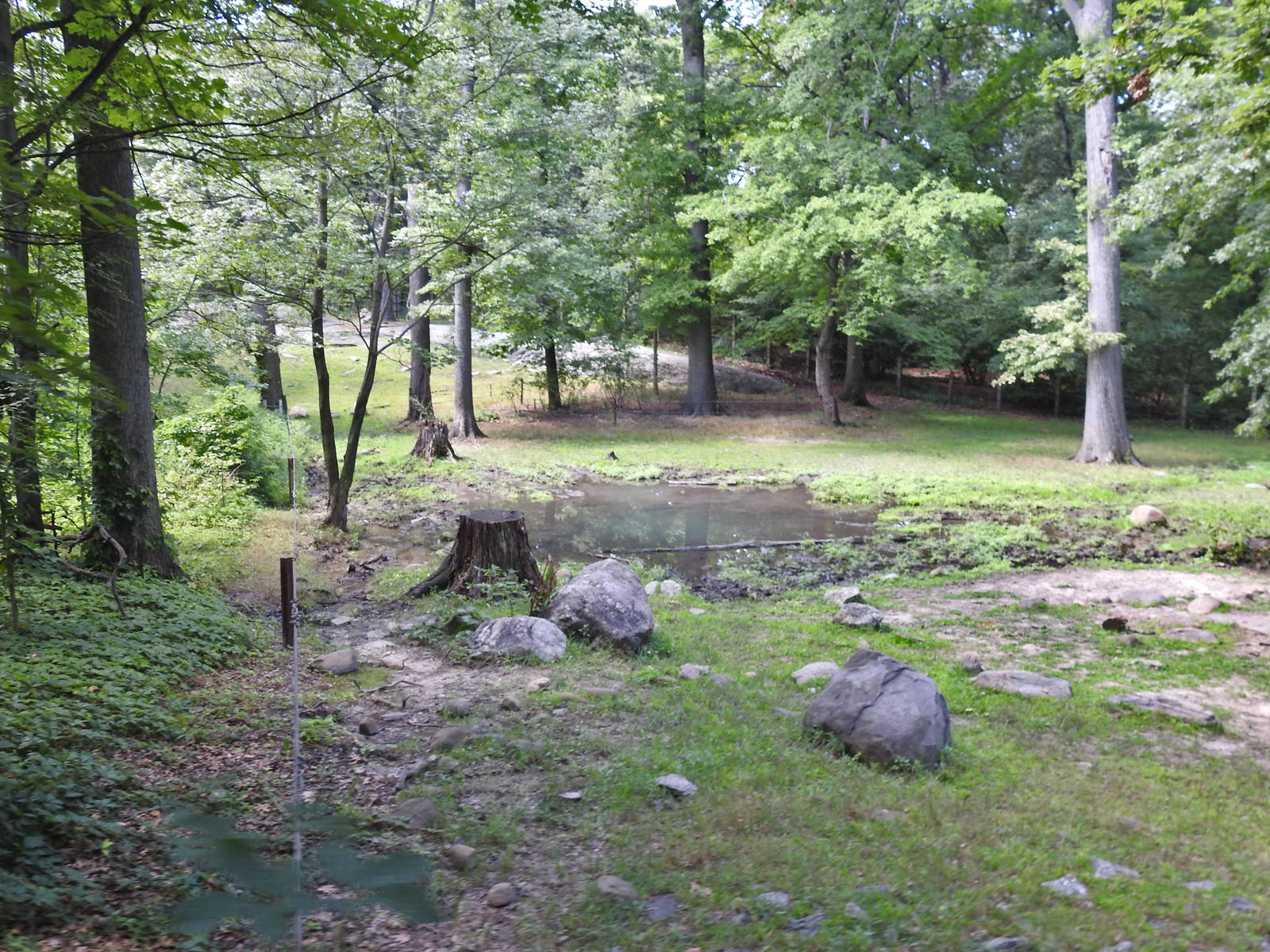 Indian Rhino Enclosure