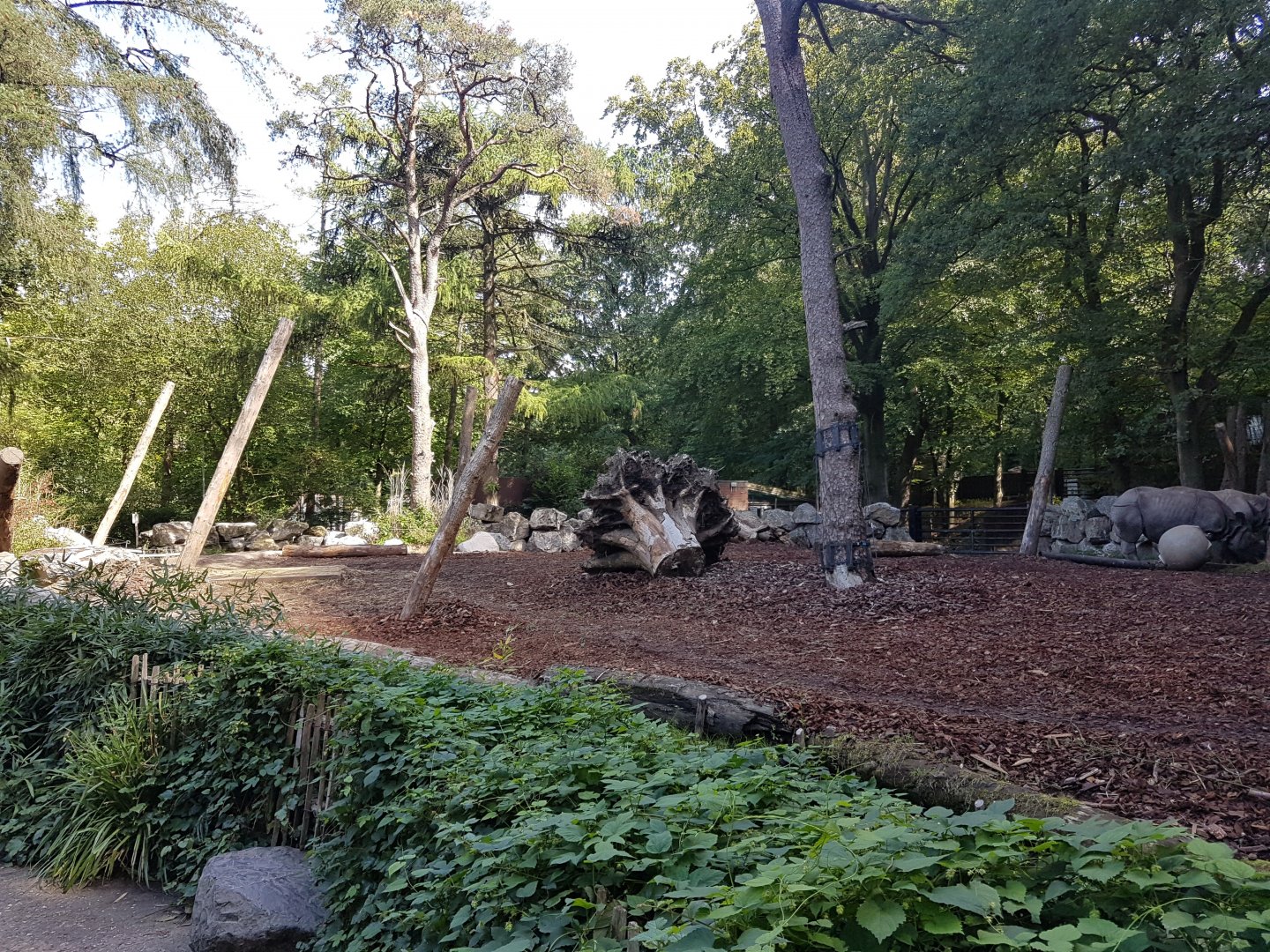 Indian rhino-enclosure