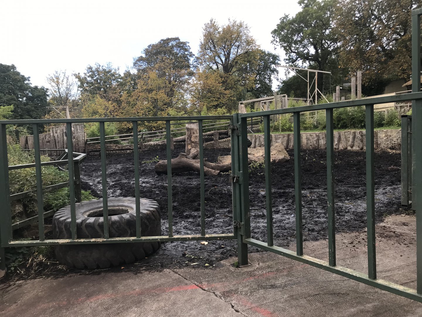 Indian rhino enclosure