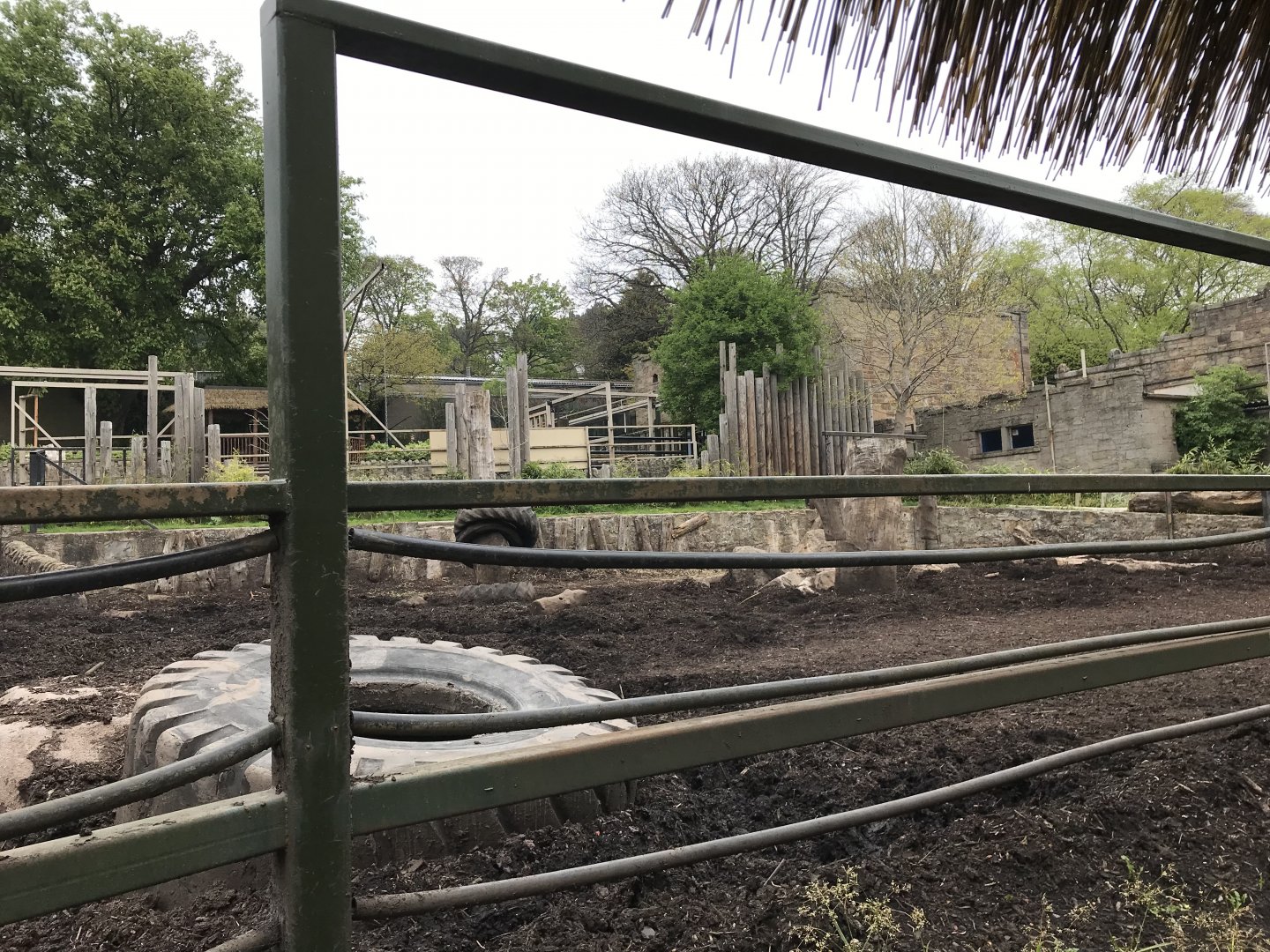 Indian rhino enclosure