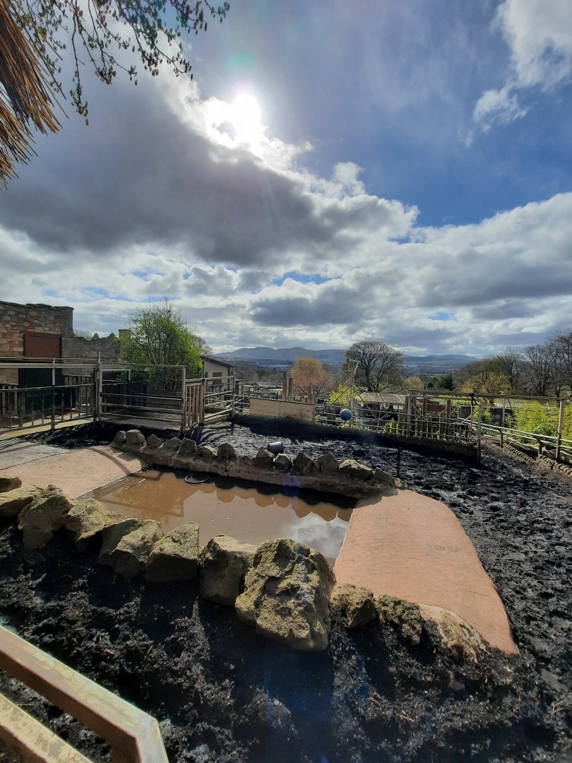 Indian rhino enclosure