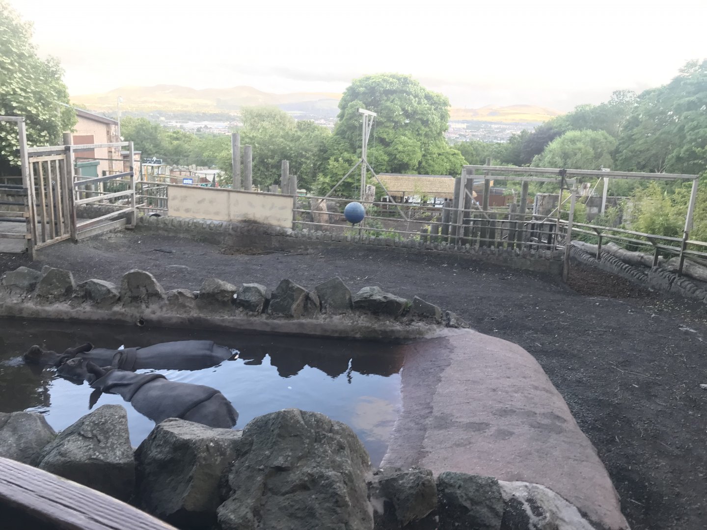 Indian rhino enclosure