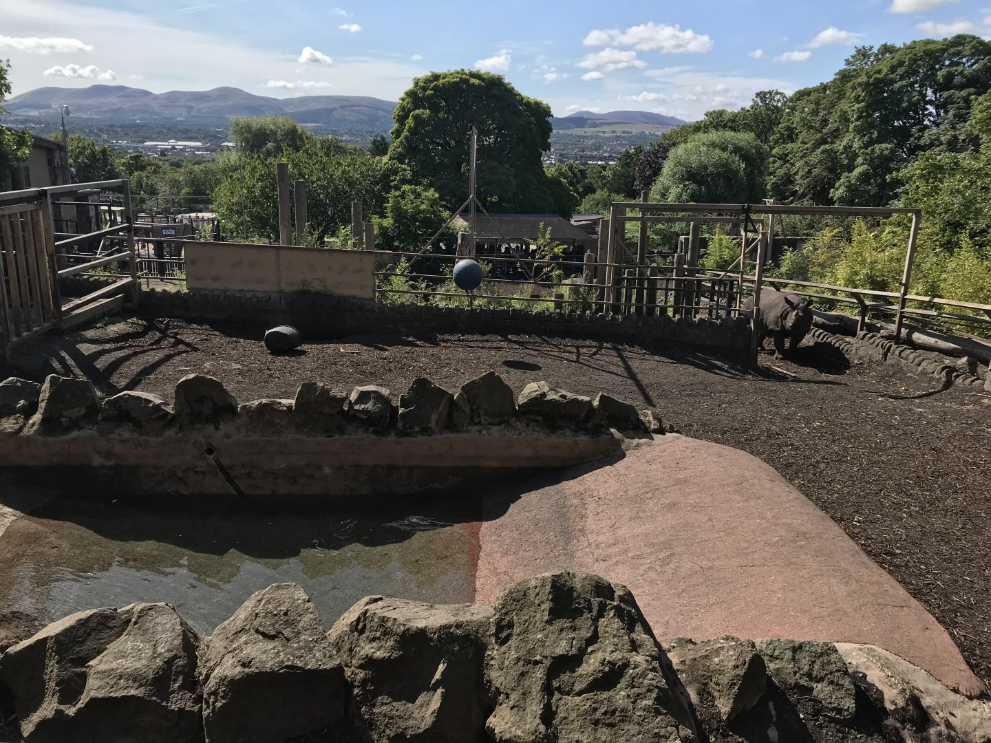 Indian rhino enclosure