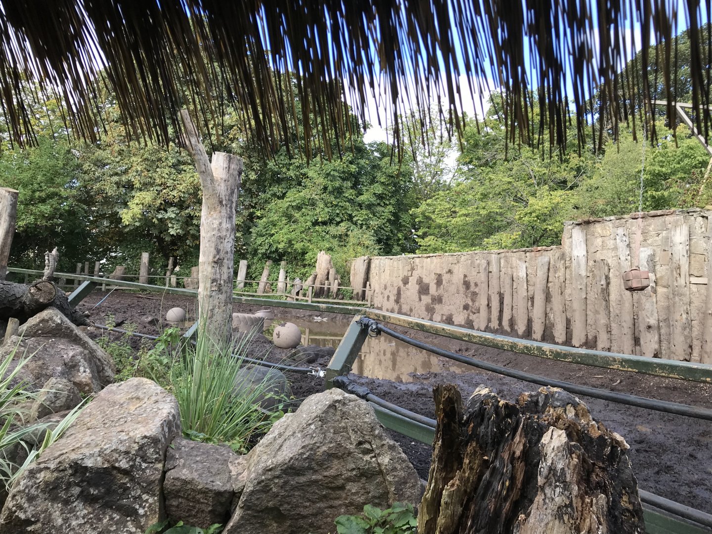 Indian rhino enclosure